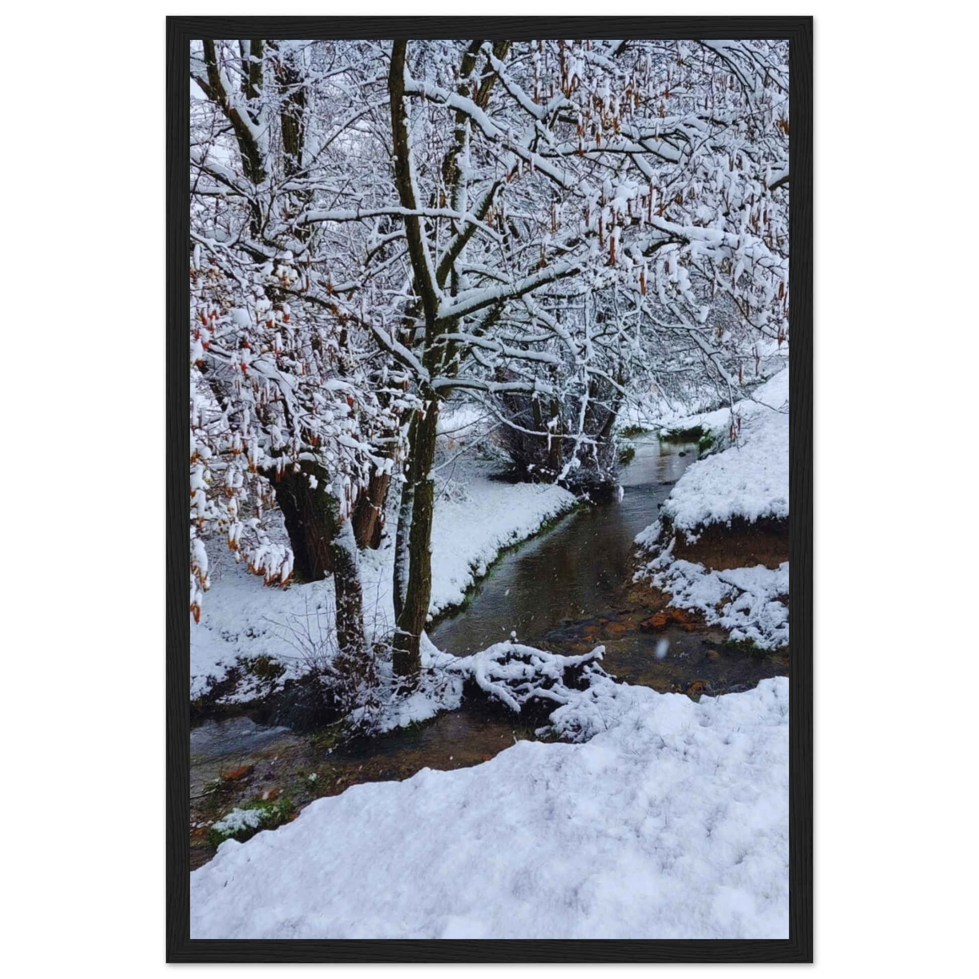 0008dac2-e54a-441b-8d98-1b8ec1ac61bd