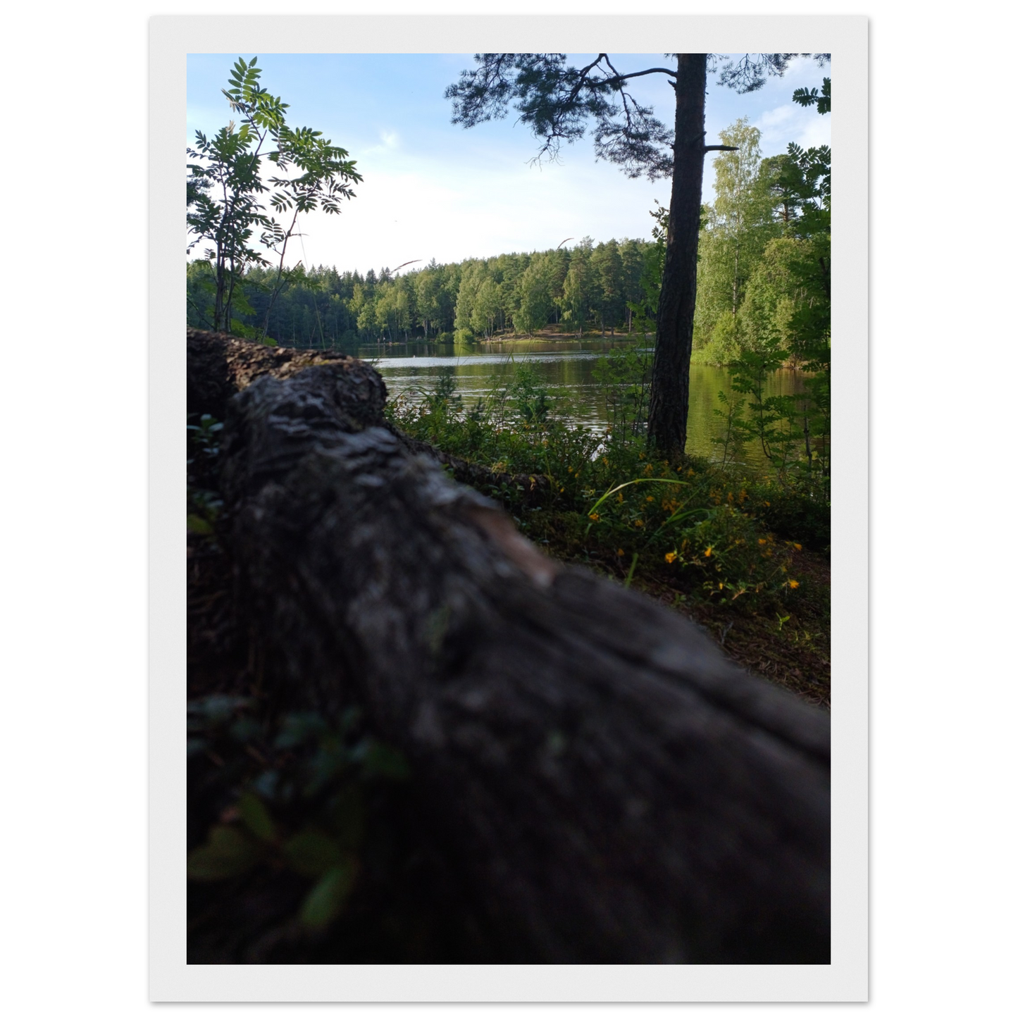 054d04a2-9c7e-4287-8f3d-5f2532ccd99f