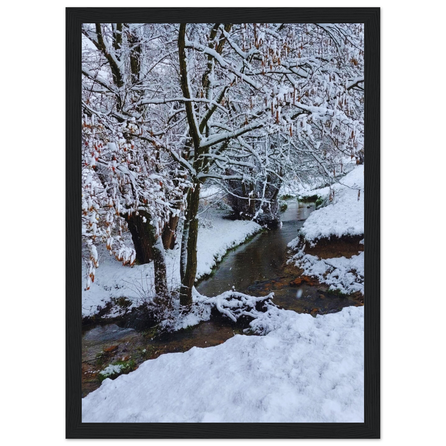 0da0cfb9-b0f3-4141-87af-b89894a776fe