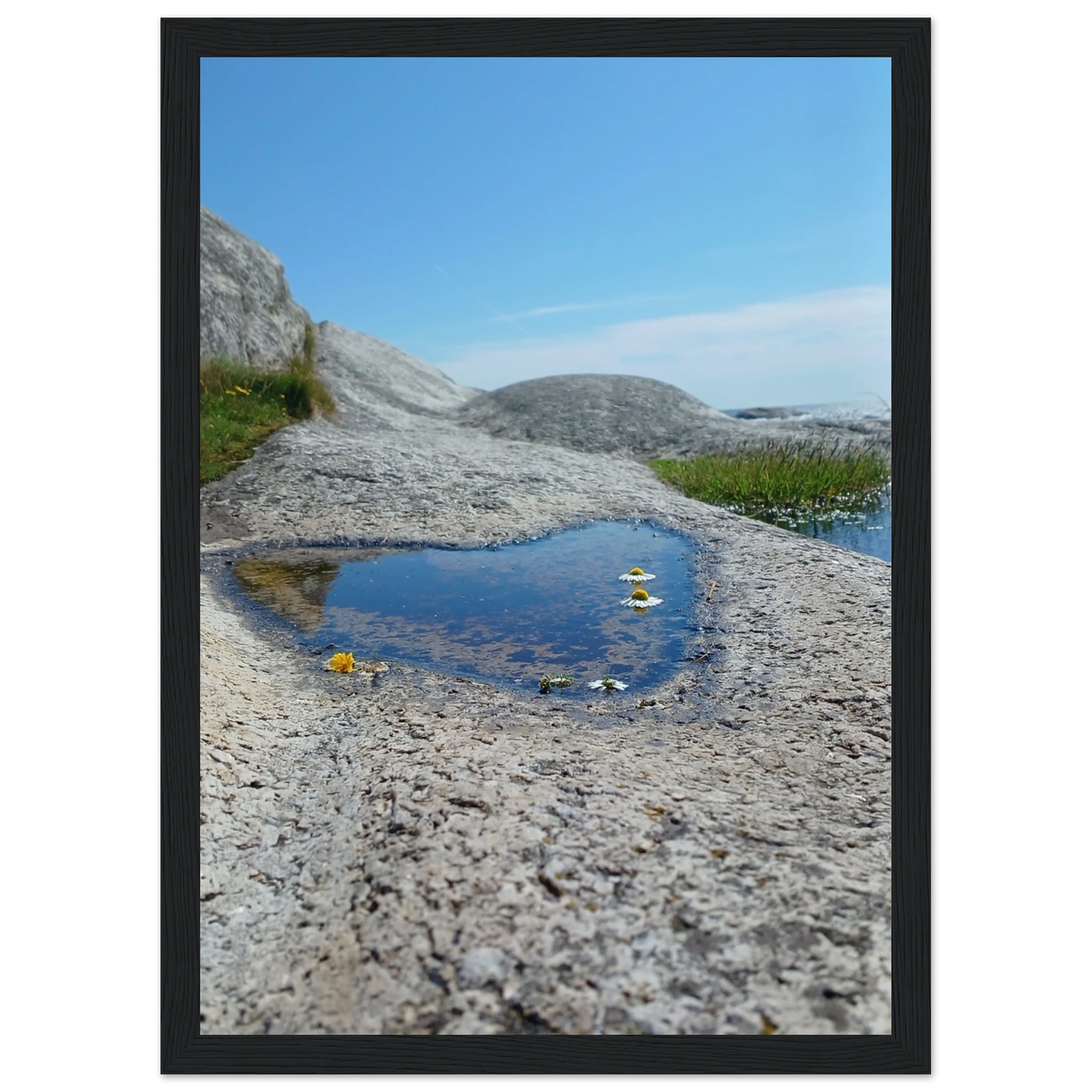 0e4dde04-f760-4043-b4a2-0605fdc1593e