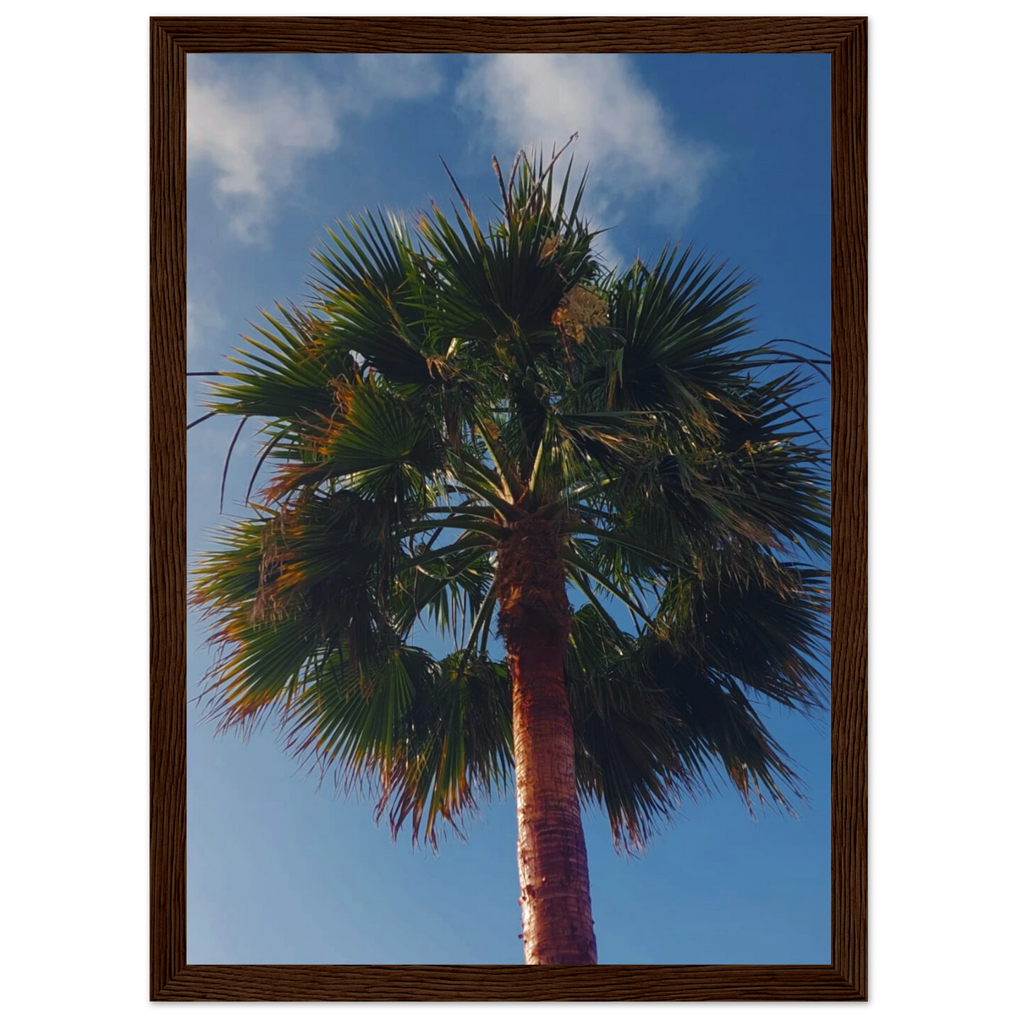 0f1bfc60-c3ac-4043-8d52-6ef15bd3d68f