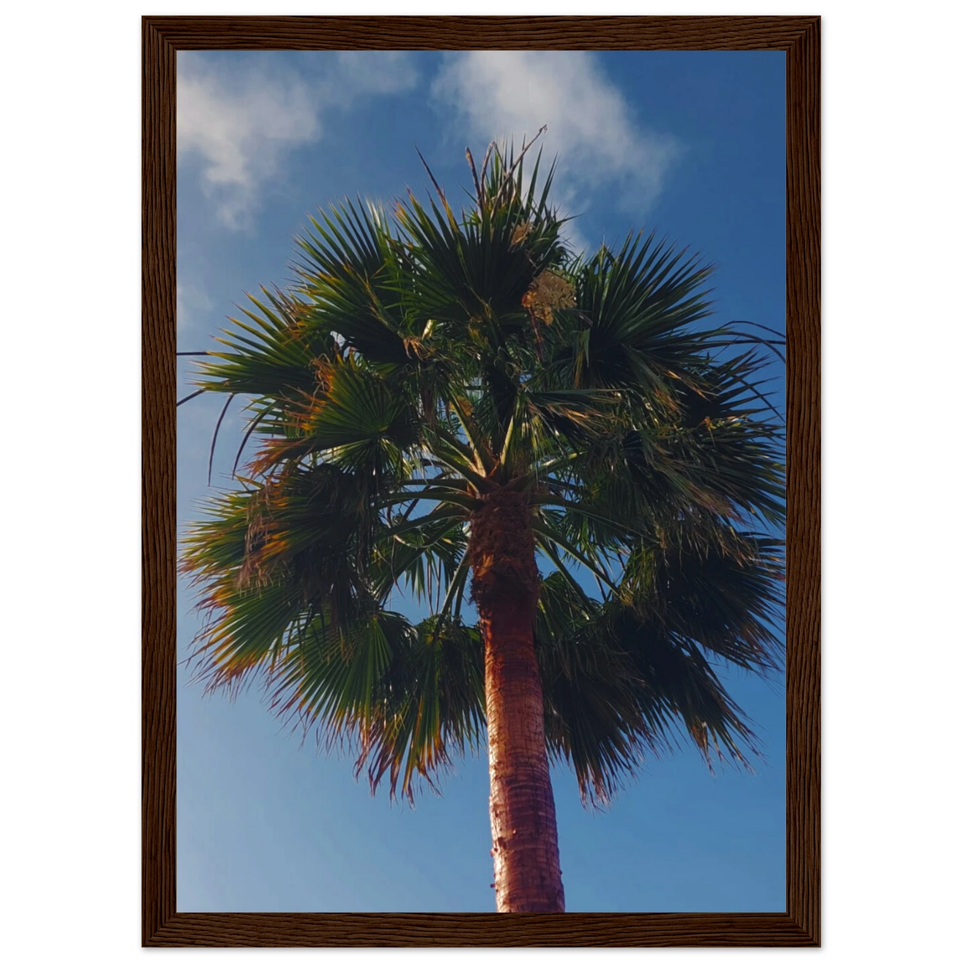 0f1bfc60-c3ac-4043-8d52-6ef15bd3d68f