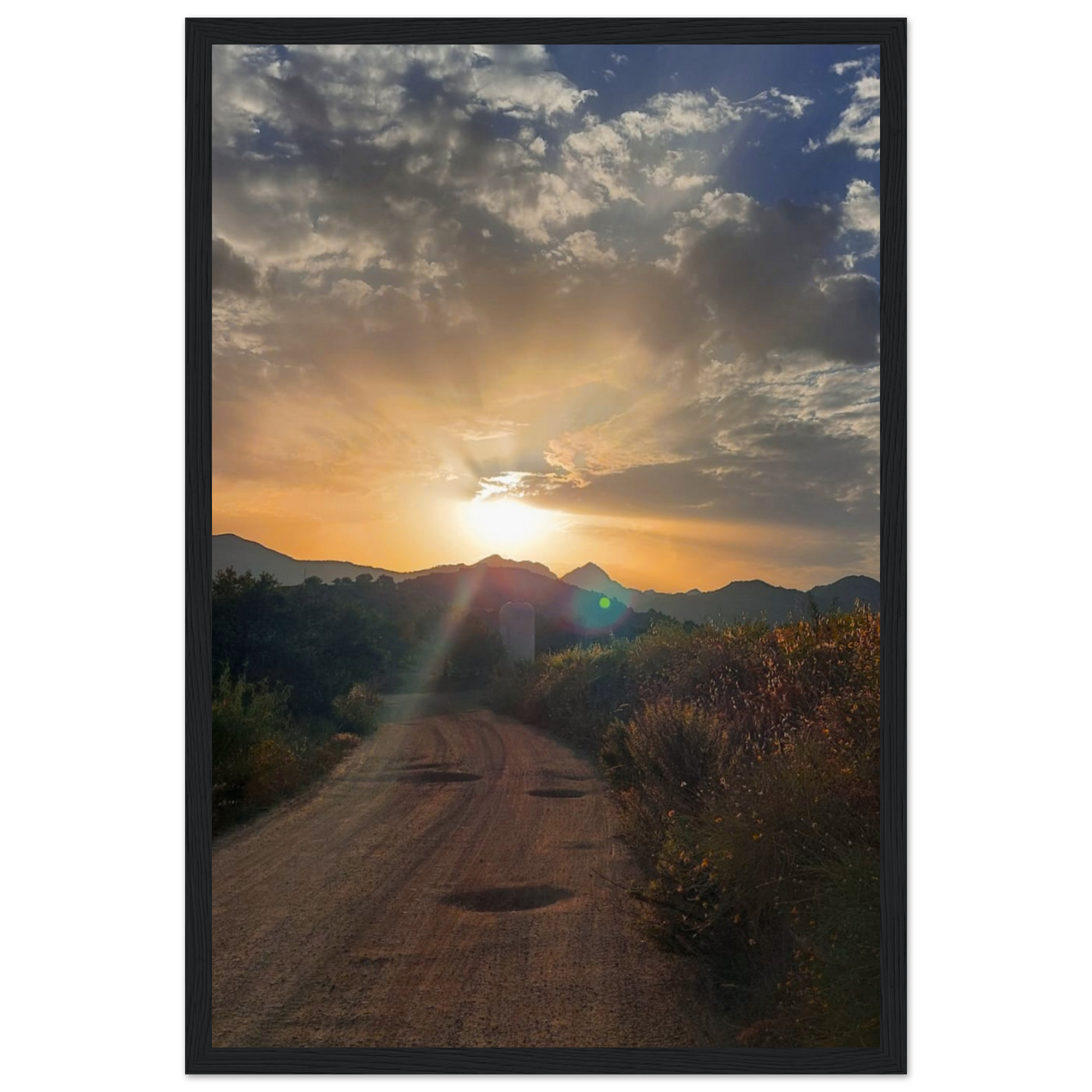 15c6d526-5cbb-48f4-9613-cb209a375804