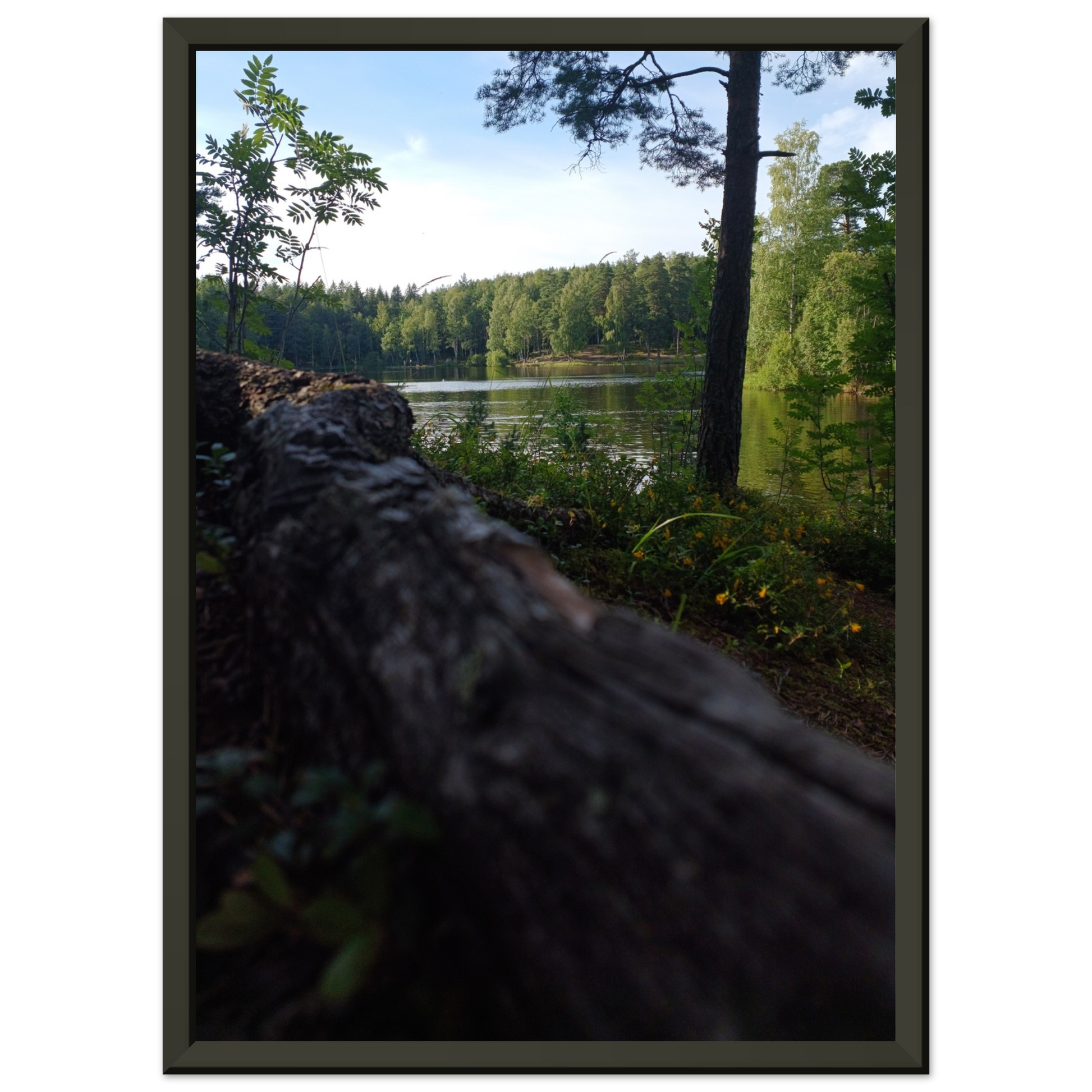 17579ff0-33d5-473d-acb7-5c4860feadeb