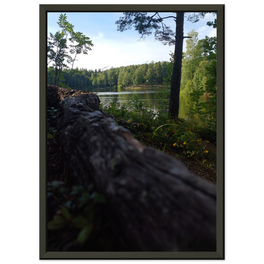 17579ff0-33d5-473d-acb7-5c4860feadeb