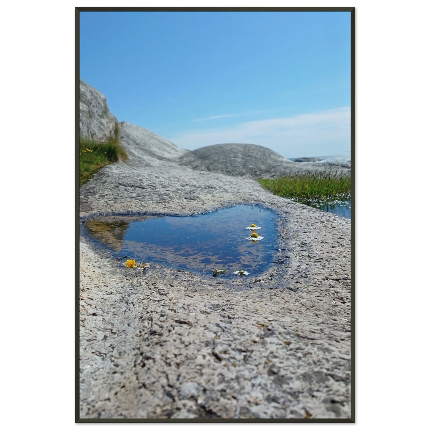 1918ddad-907a-4a5f-abc1-84da6a566e3e