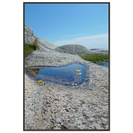 1918ddad-907a-4a5f-abc1-84da6a566e3e