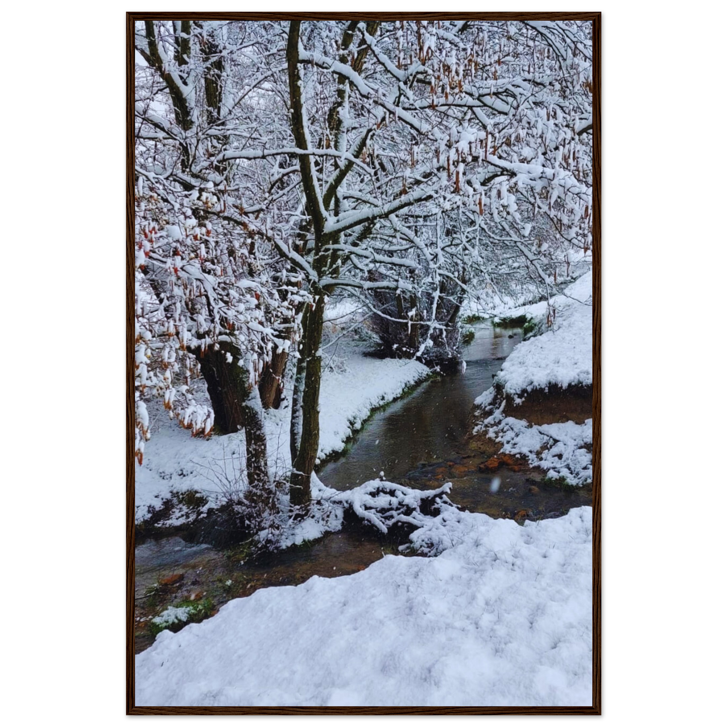 1ad2537a-1fba-4a9c-8dea-032f27029c90