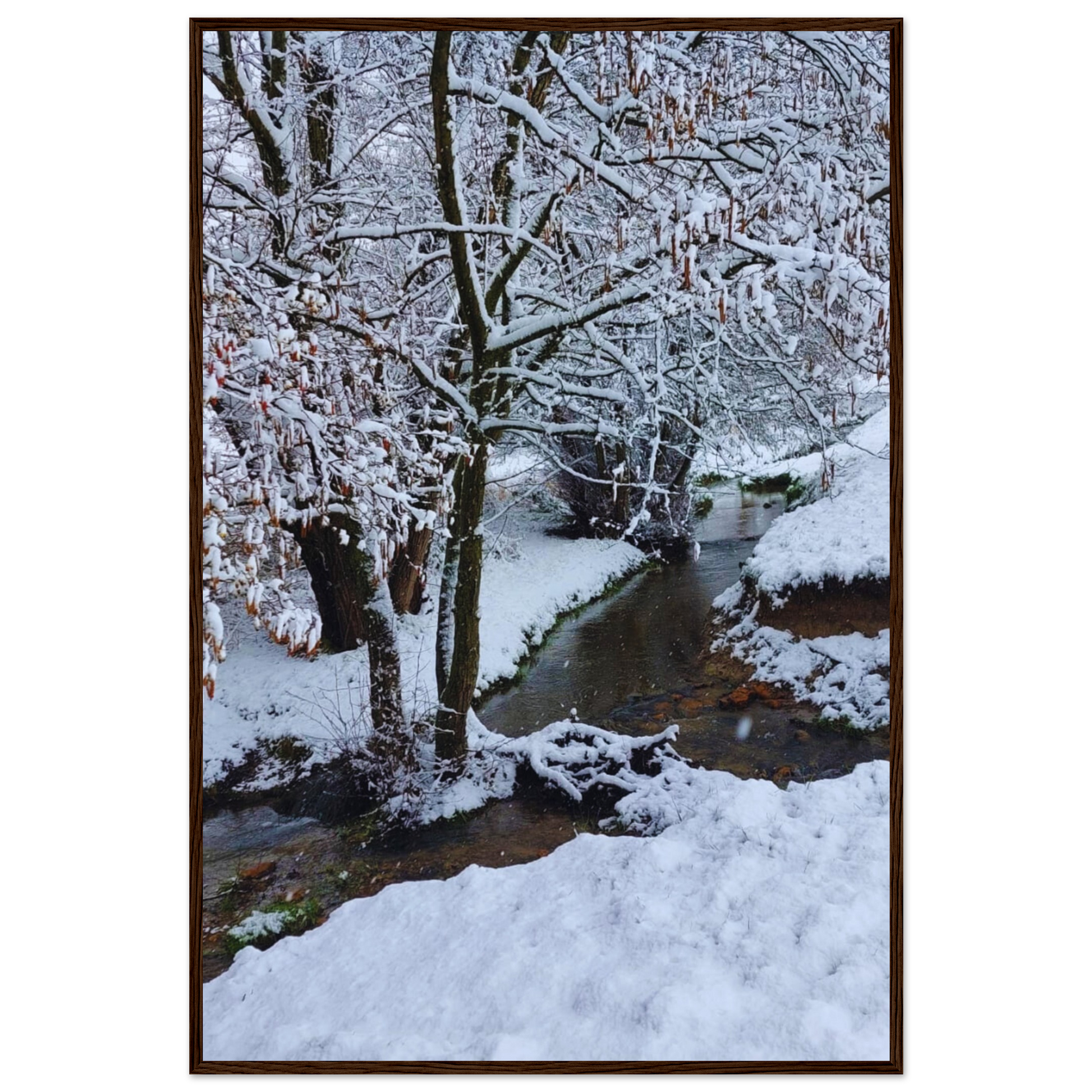 1ad2537a-1fba-4a9c-8dea-032f27029c90