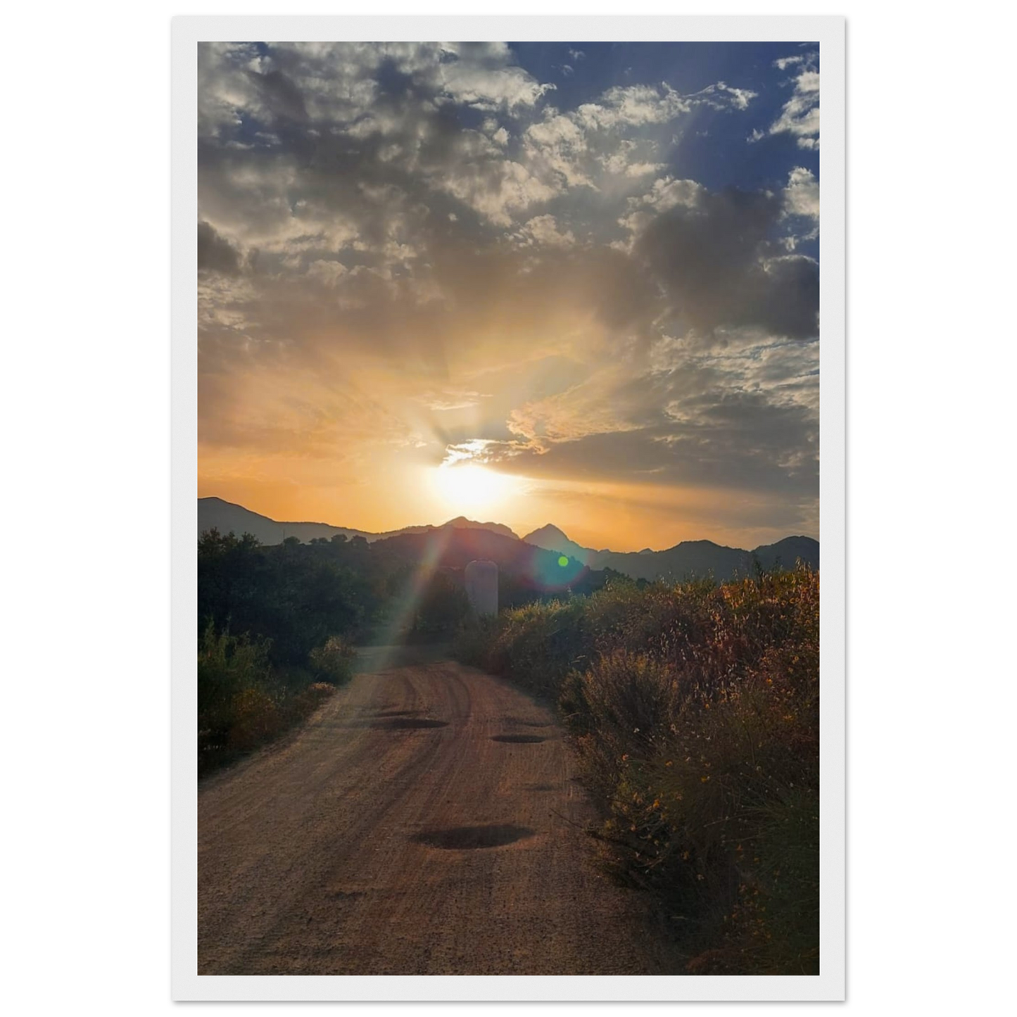 1dfee472-a05a-4f51-9534-9bd03e657329