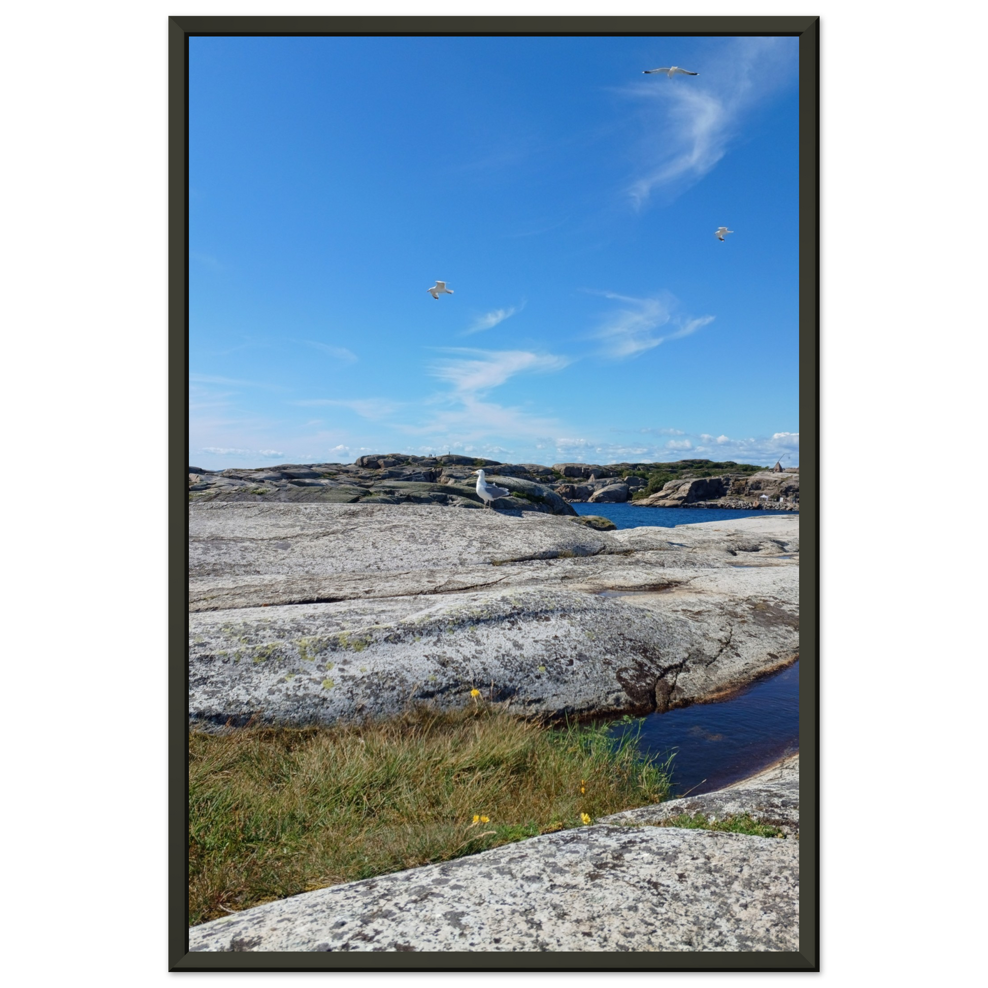 228c14a8-54dc-46c0-8c05-e15d6674eb75