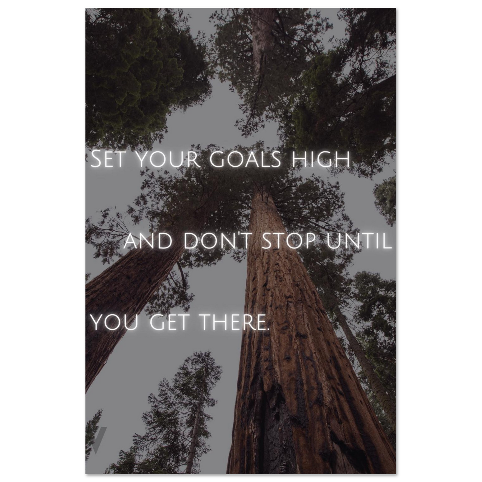 22fd7672-cae7-407c-9a73-9c8de6f00a25