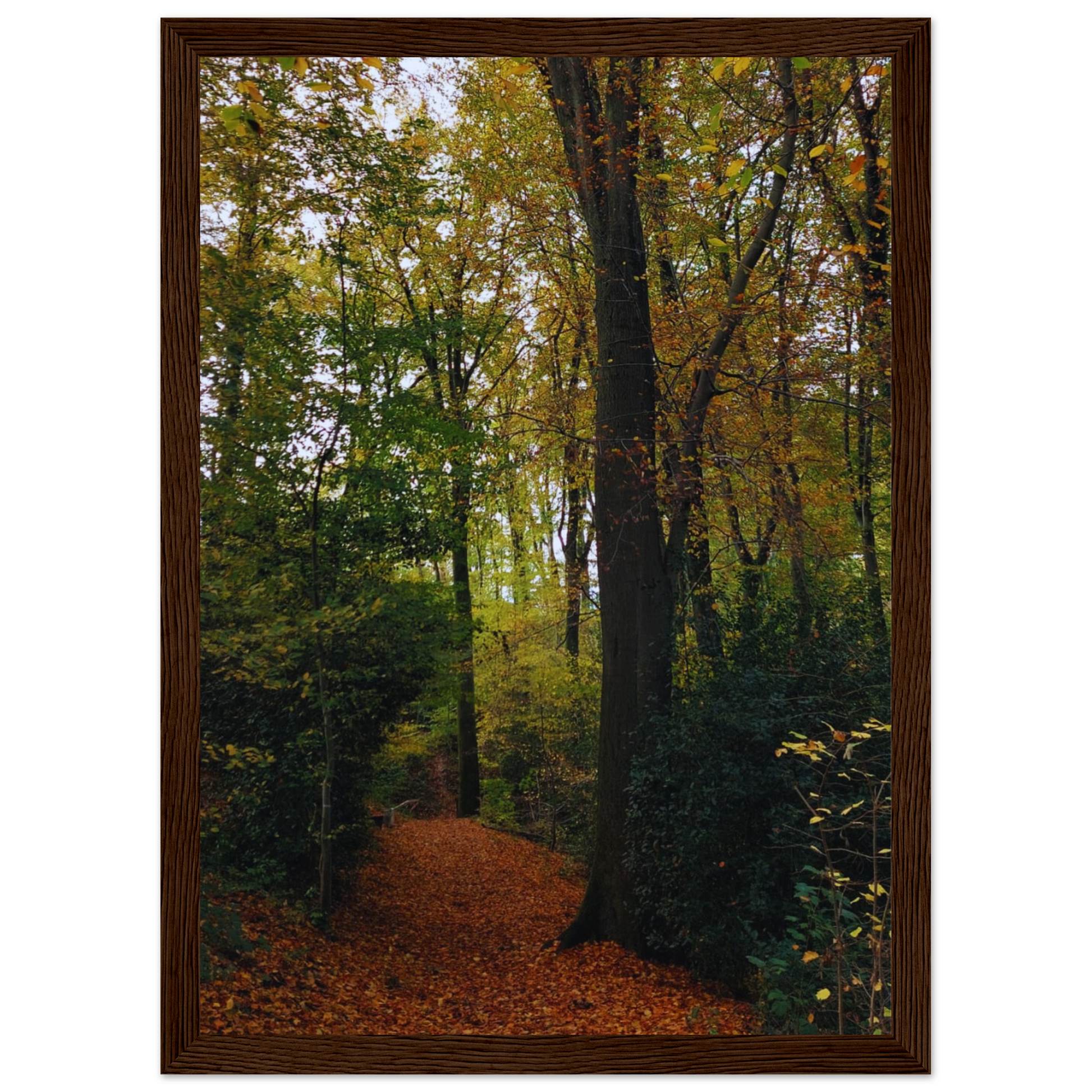 24cc4689-0d13-44a9-9d1e-fd9a80f19b33