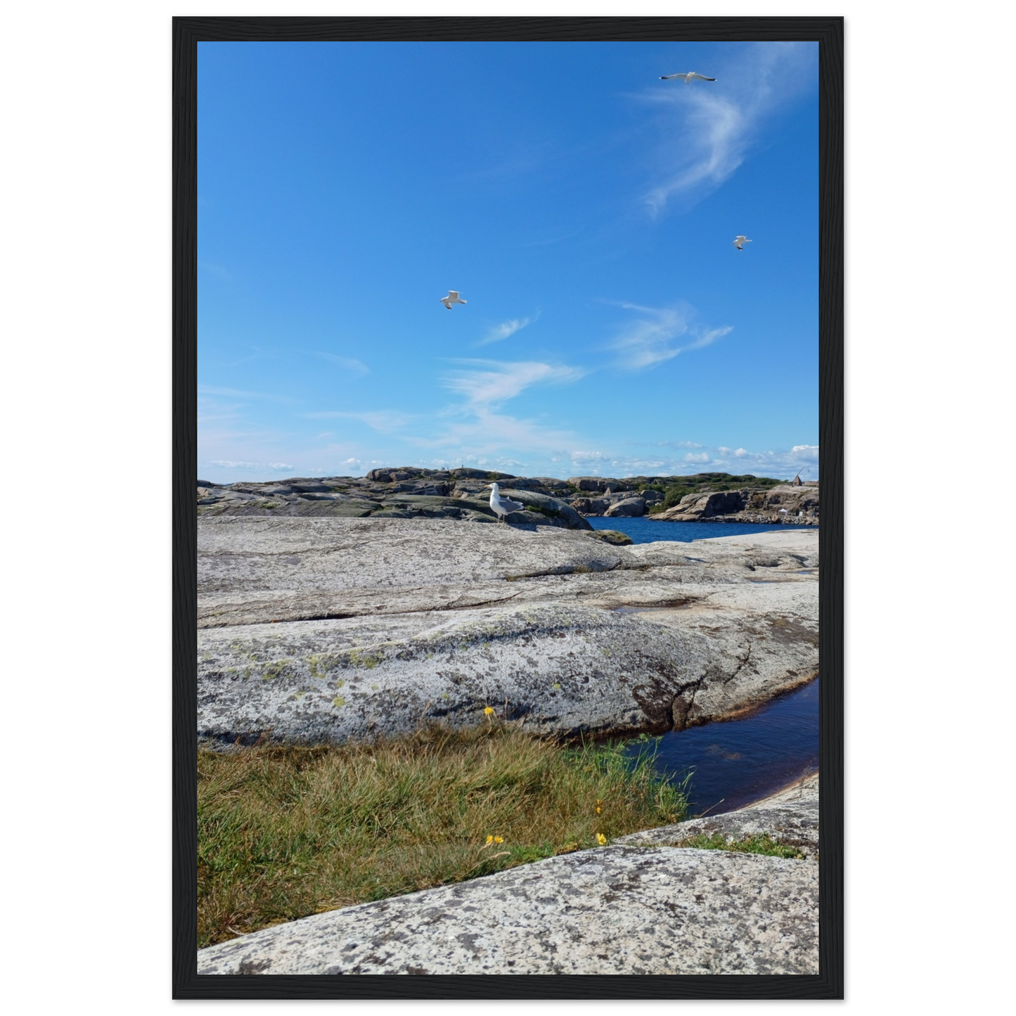 27df215c-f4dd-4538-9e77-704c8dccb9b6