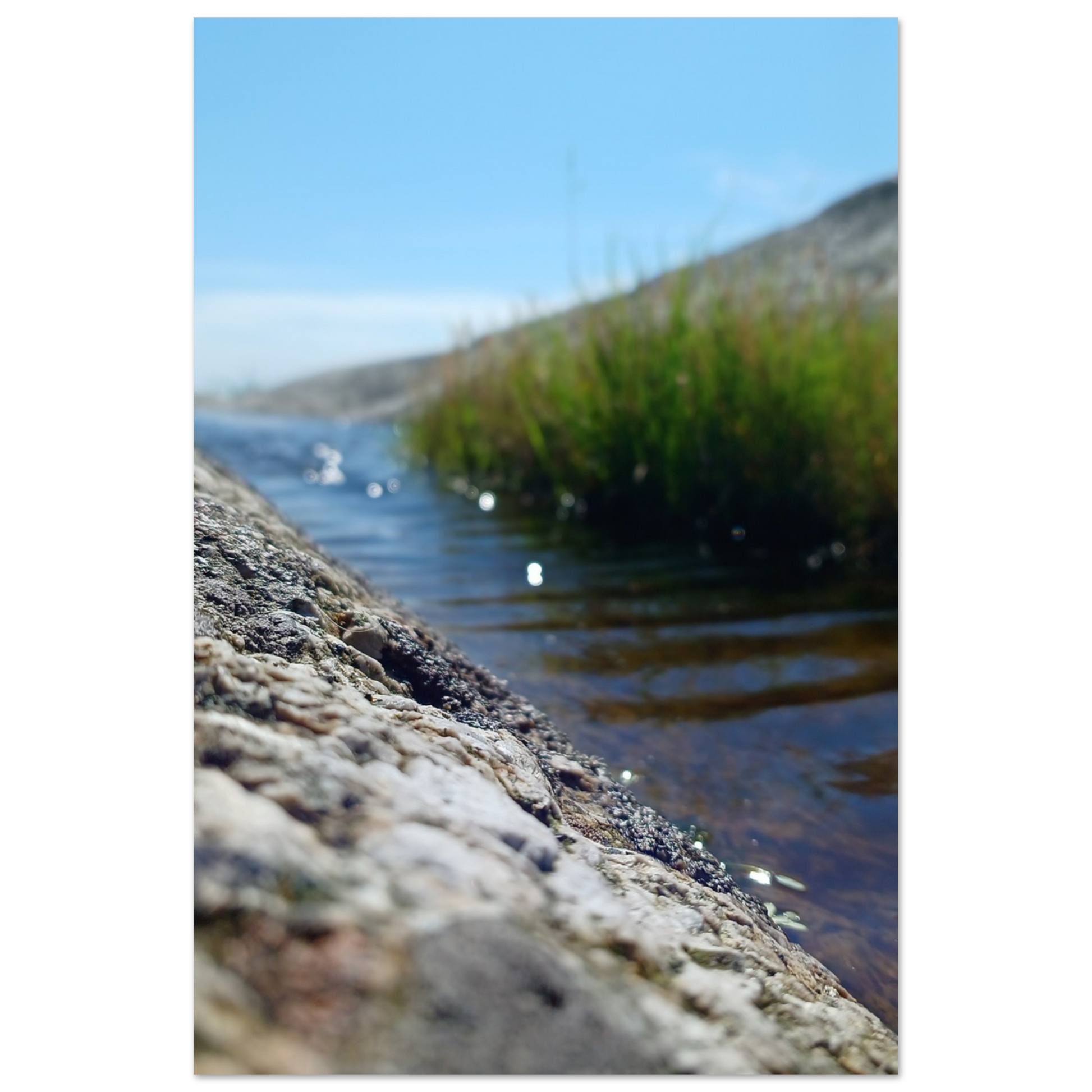 281cd5e7-4b76-4631-ab90-b8f4d4eb5b3b