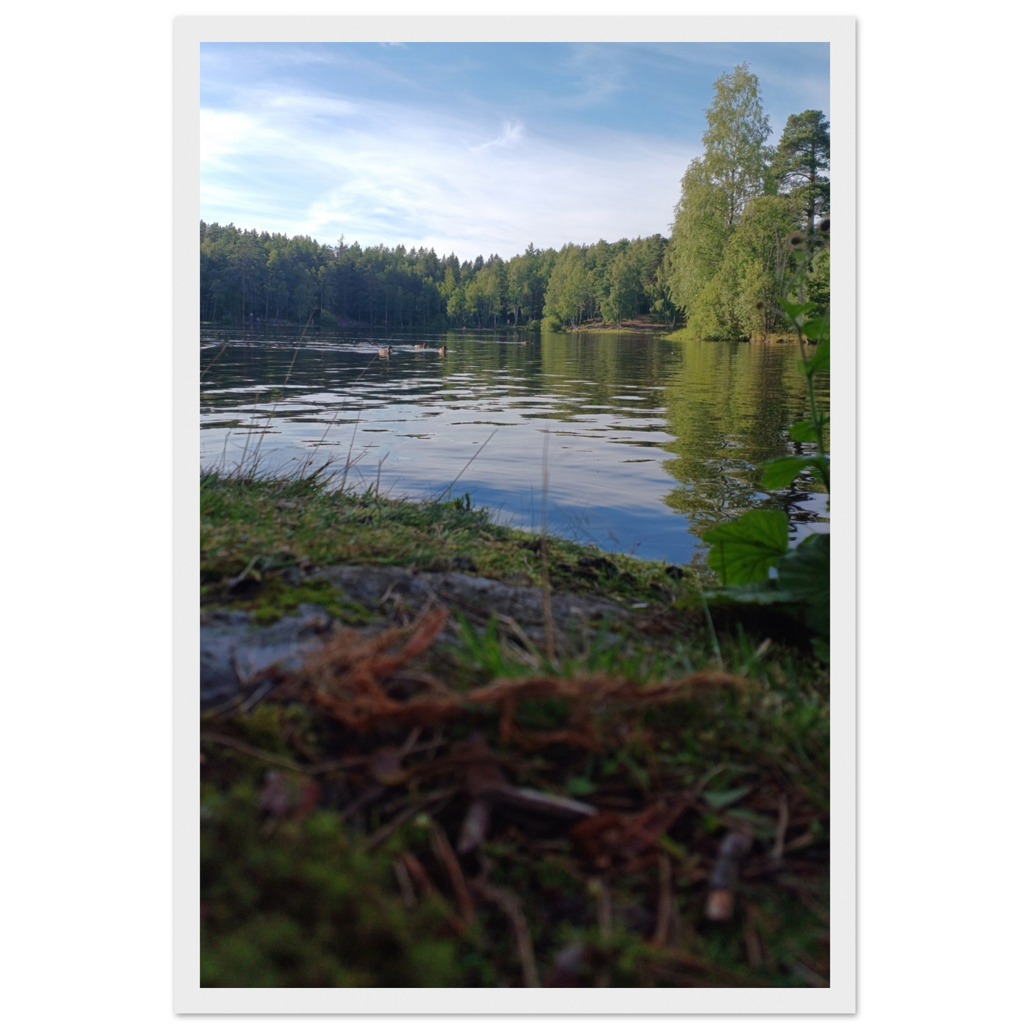 28bca1b7-104d-4323-8d3d-7b1bb60eb43d