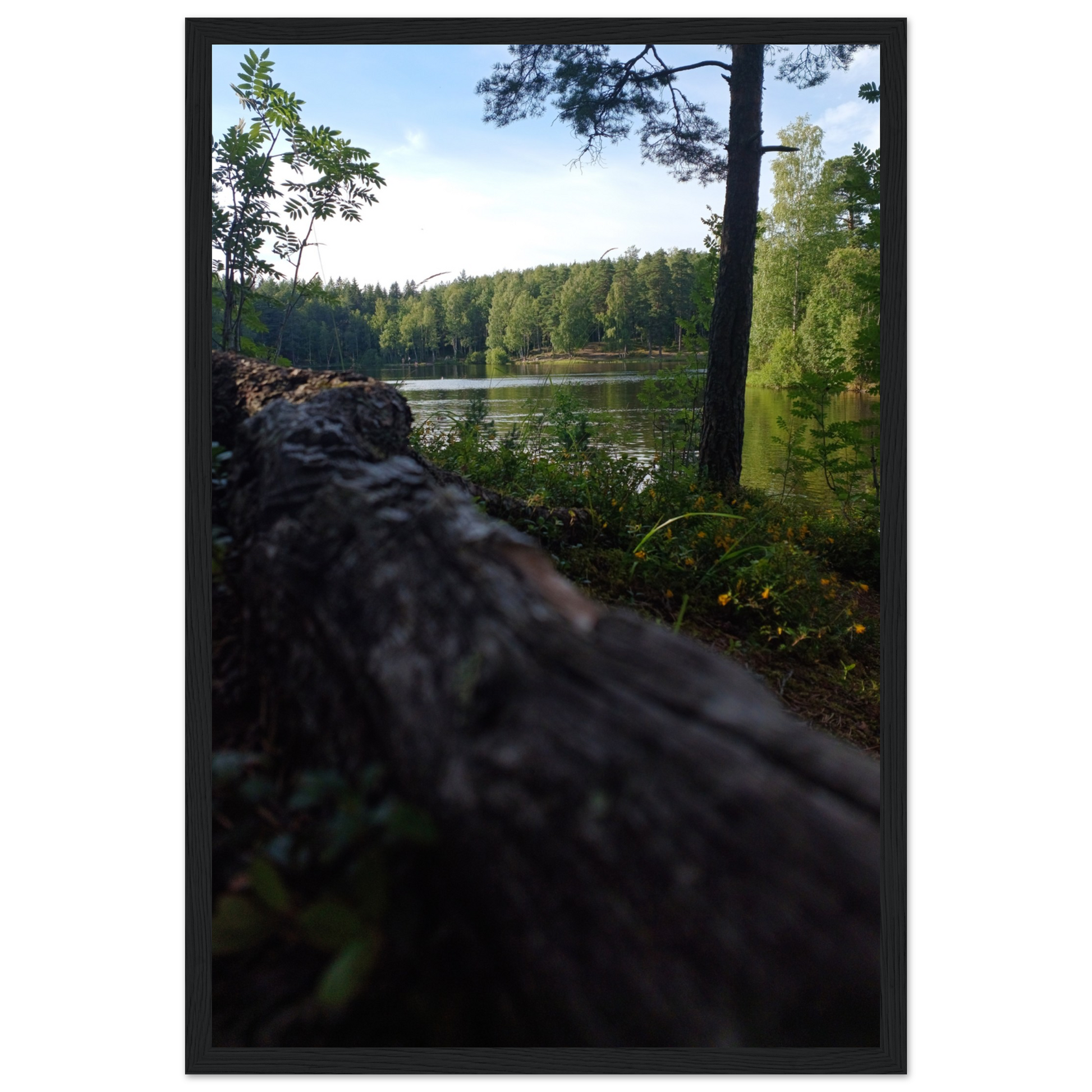 2a7a42af-a254-40eb-a315-97f0e457b52d