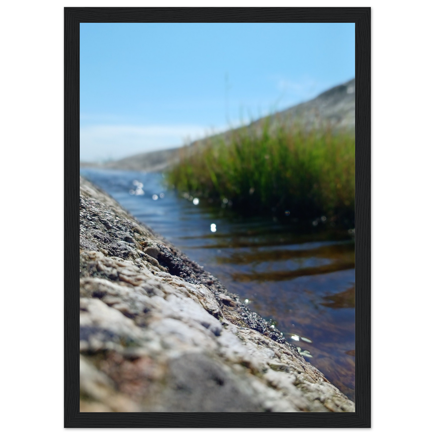 2c8a76c2-2e70-4e4d-ac10-ac34c8265bd2