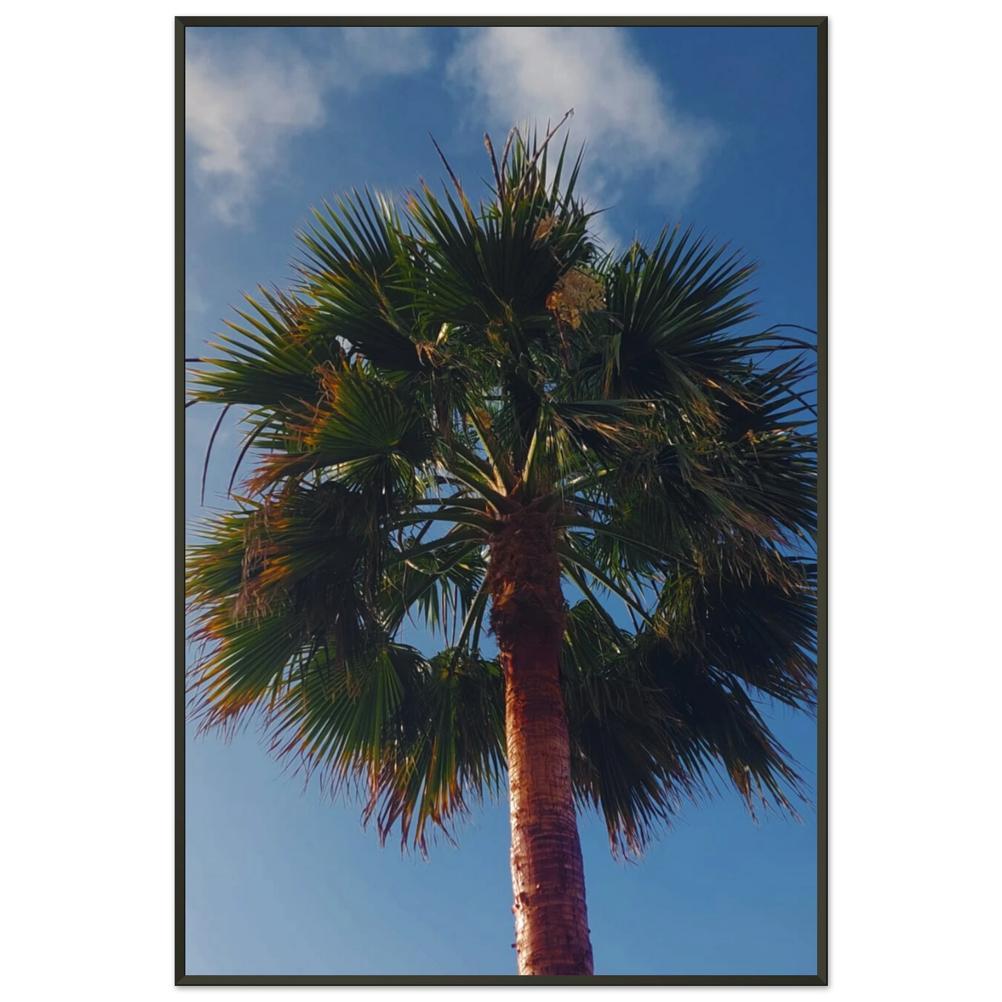 30df0d84-ec2a-418c-9d5b-ff27845eb6e7