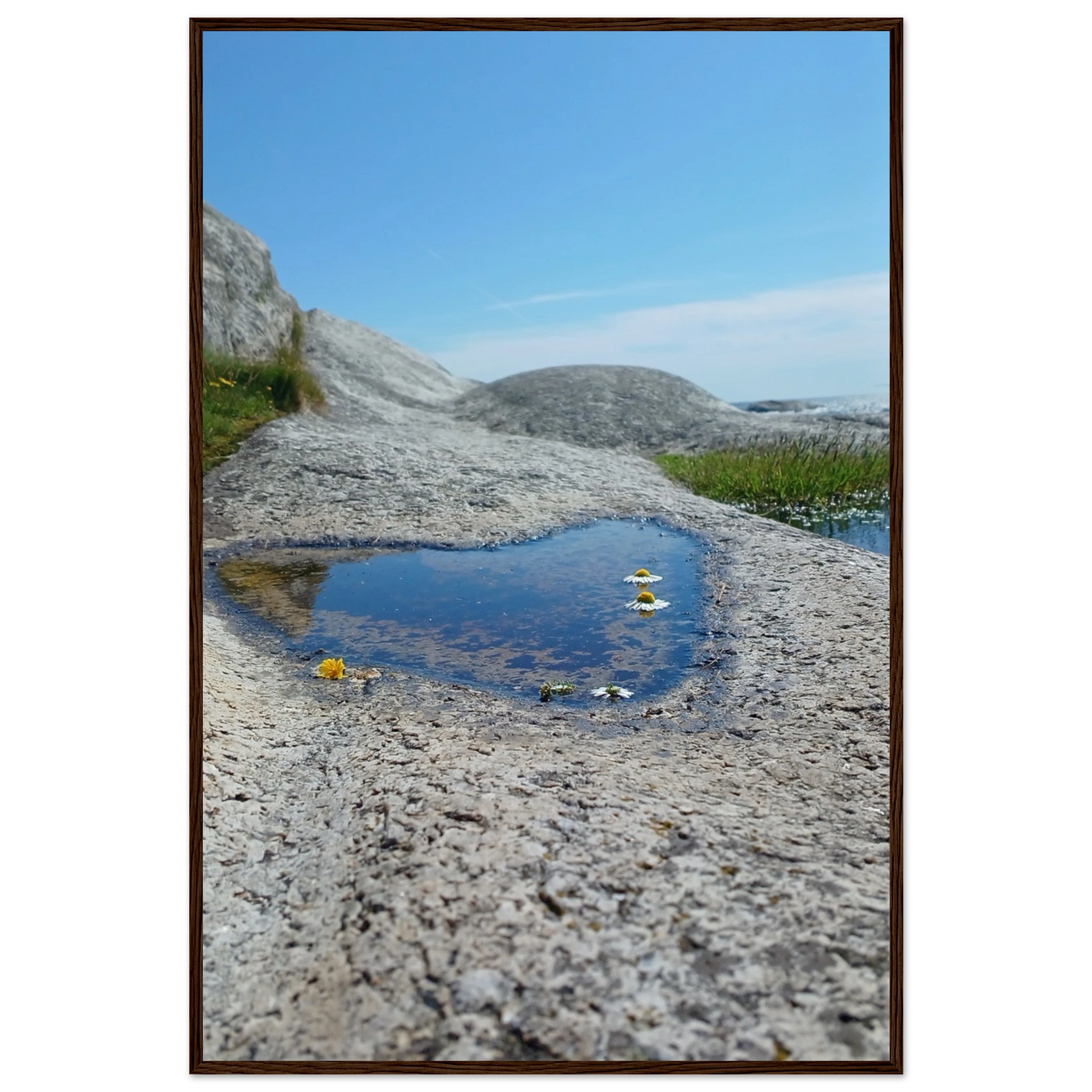 351bf739-e28e-449f-837f-6379c4e0409a