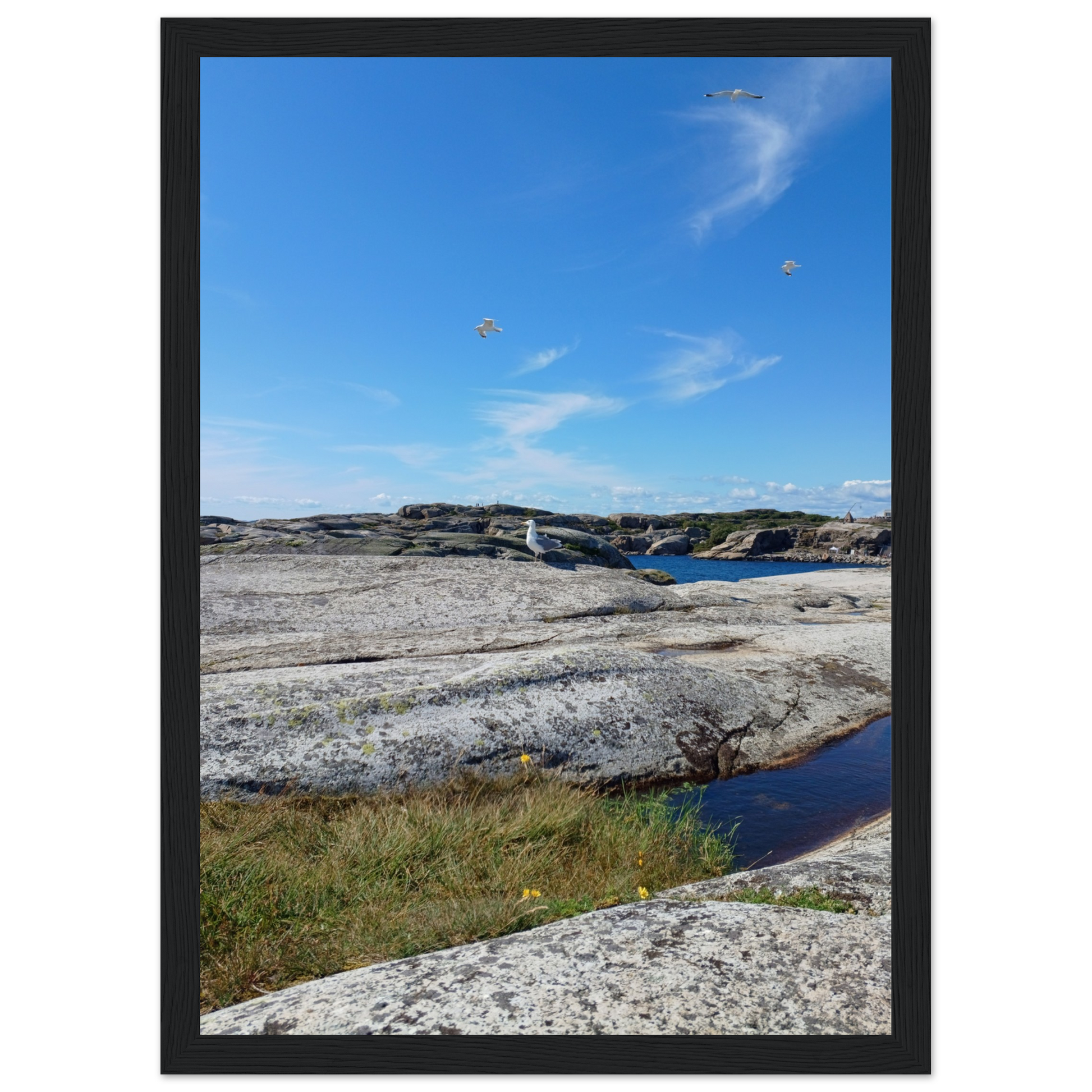 3a0d2789-d85d-4bb9-8fac-7a8c4efc7f4f