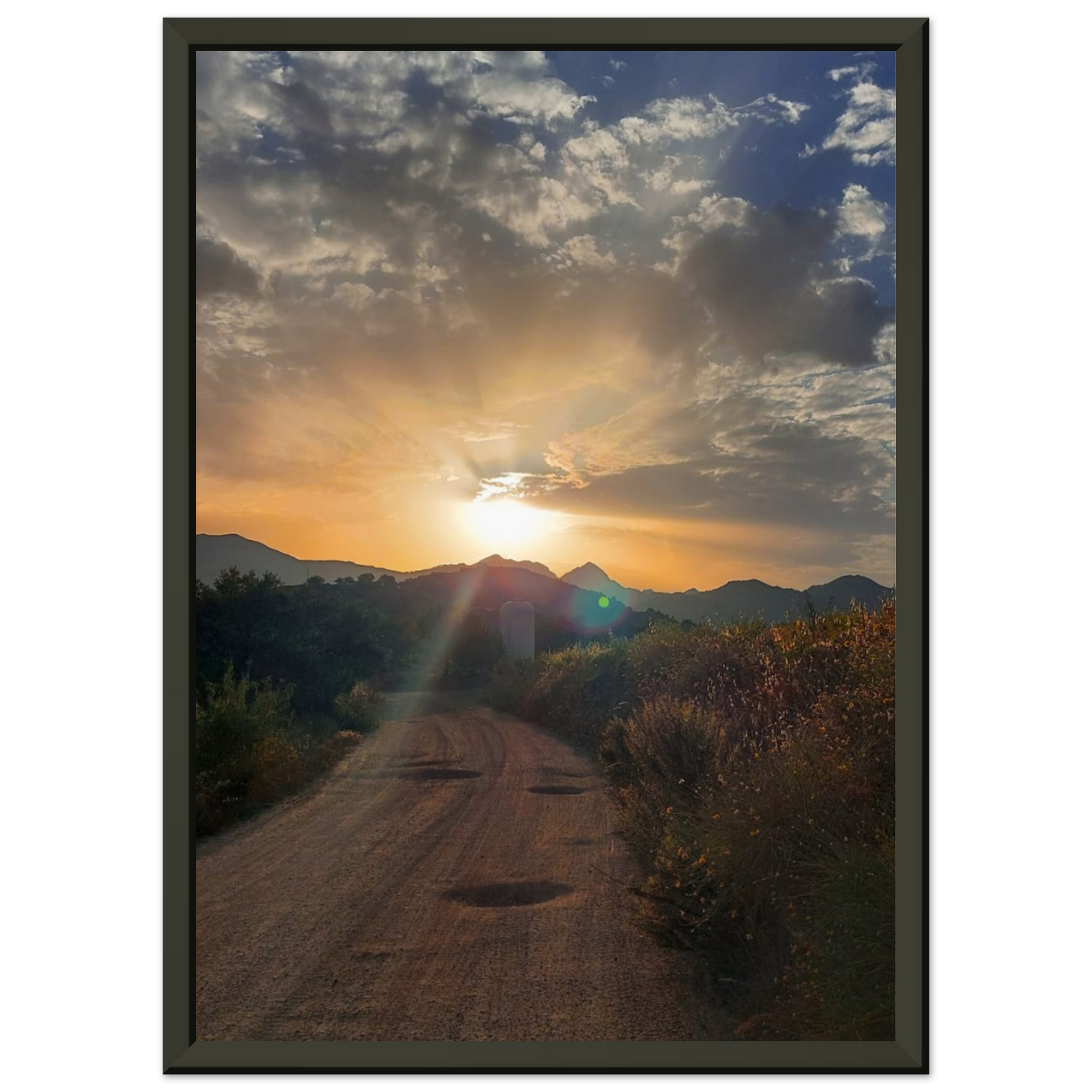 3c87e876-3291-420b-904b-f005a39f9c9d