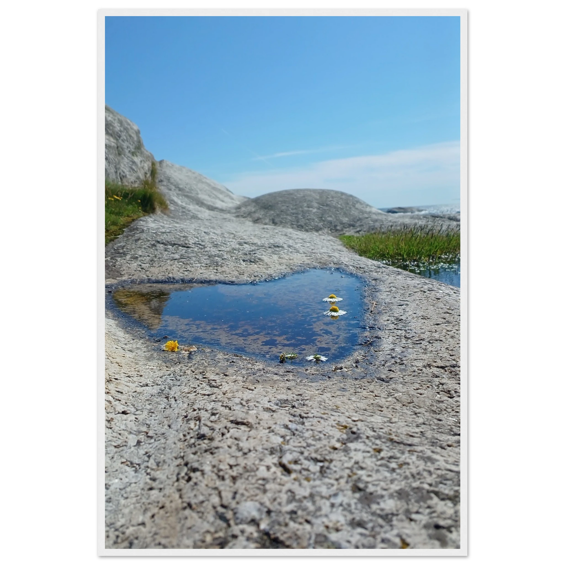 3cb73394-1a62-4210-800a-fcc0d6947b33