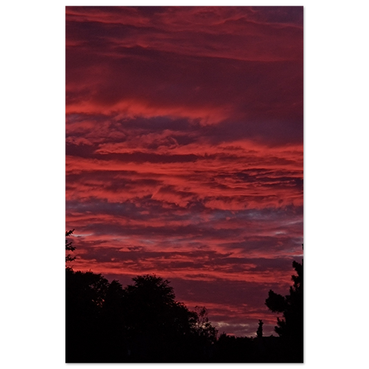 4037ee3c-6ba4-426f-bd44-0a73b526bd29