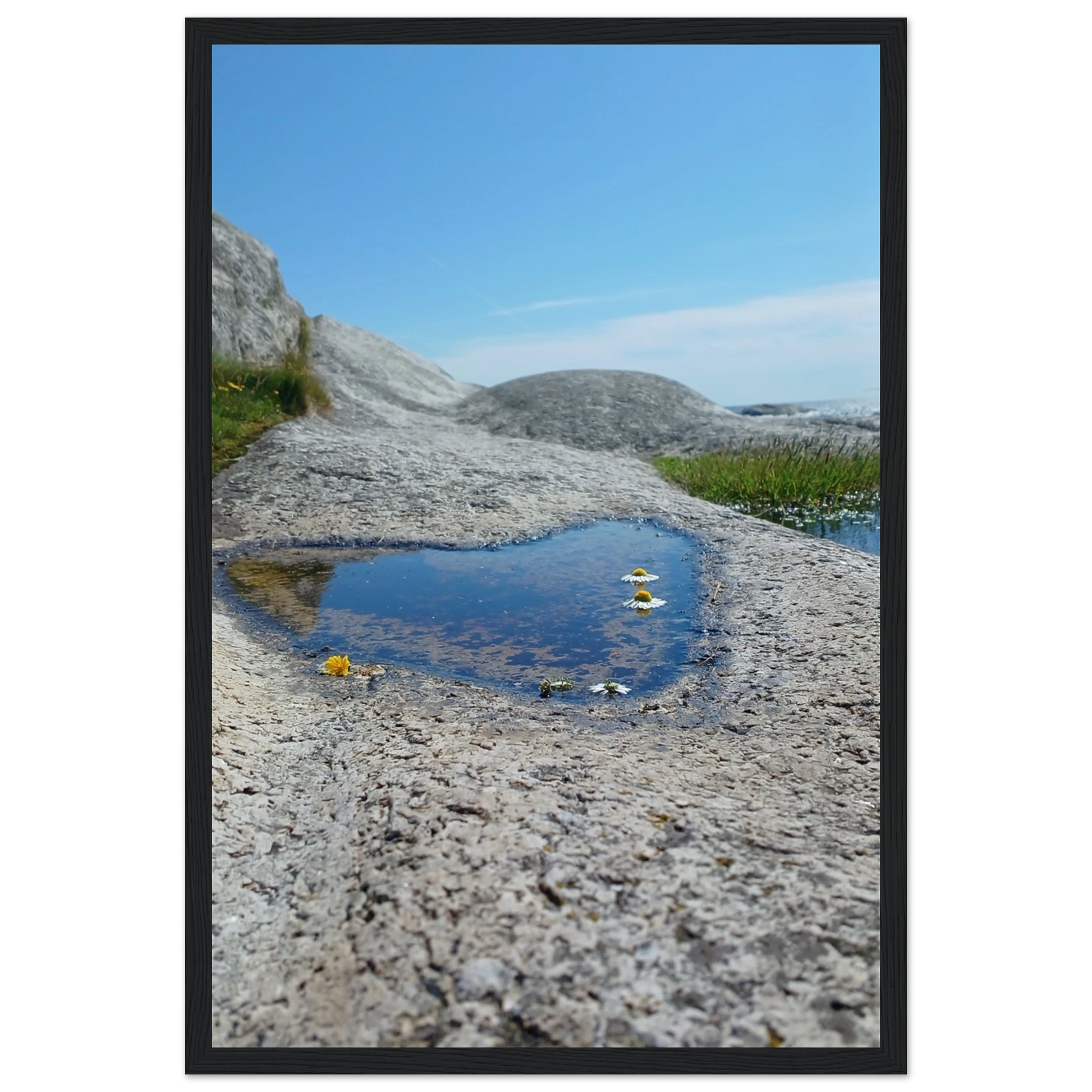 4101e4b9-3283-45ba-b058-3564654da76e