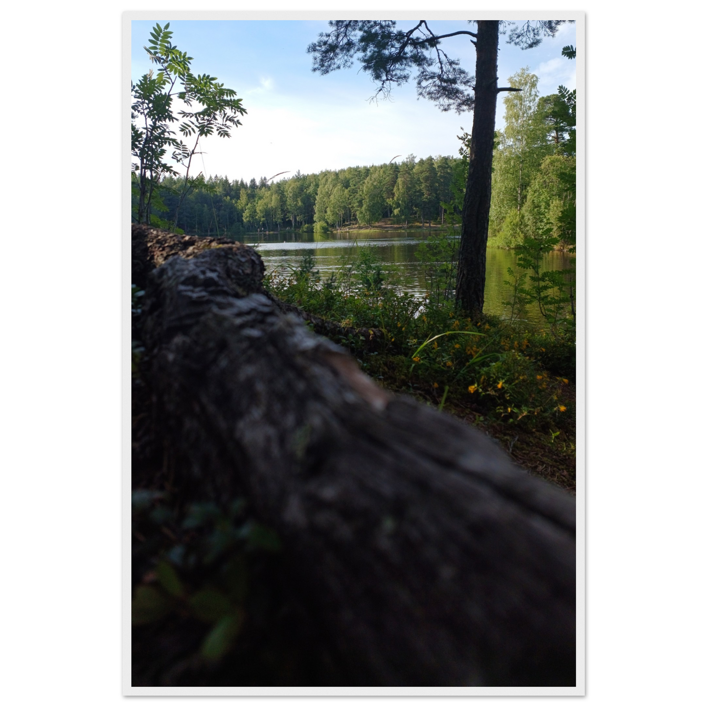 4164b18f-01ee-4267-90ba-ff137086fb21