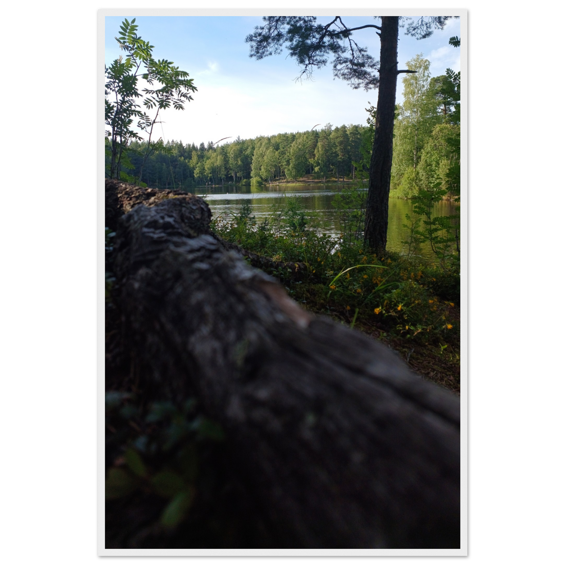 4164b18f-01ee-4267-90ba-ff137086fb21