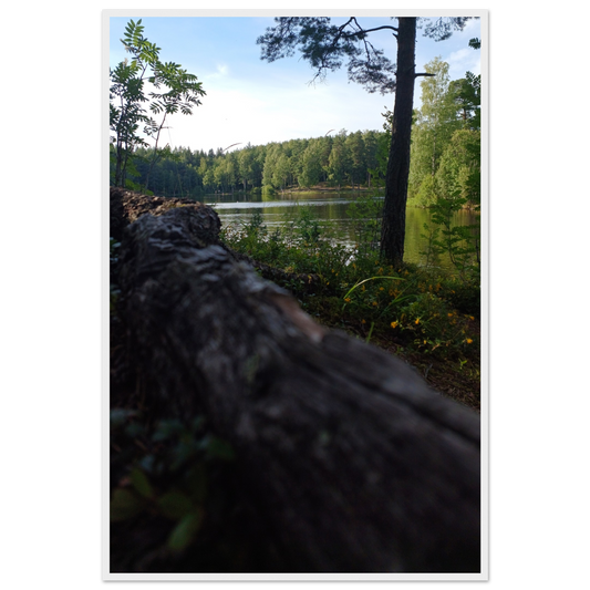 4164b18f-01ee-4267-90ba-ff137086fb21