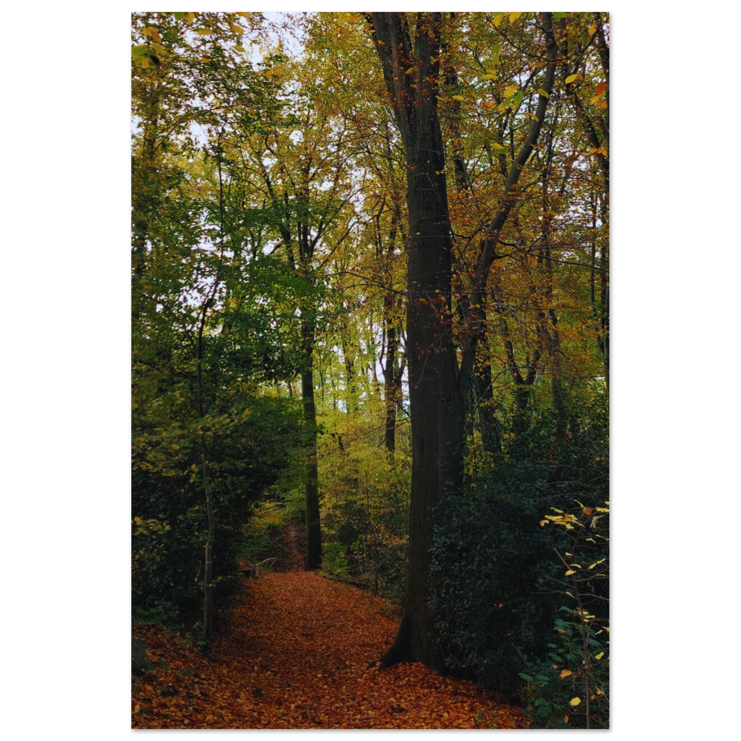 43ca1821-da5c-4144-ba86-eeded59fde13