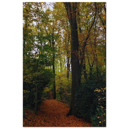 43ca1821-da5c-4144-ba86-eeded59fde13