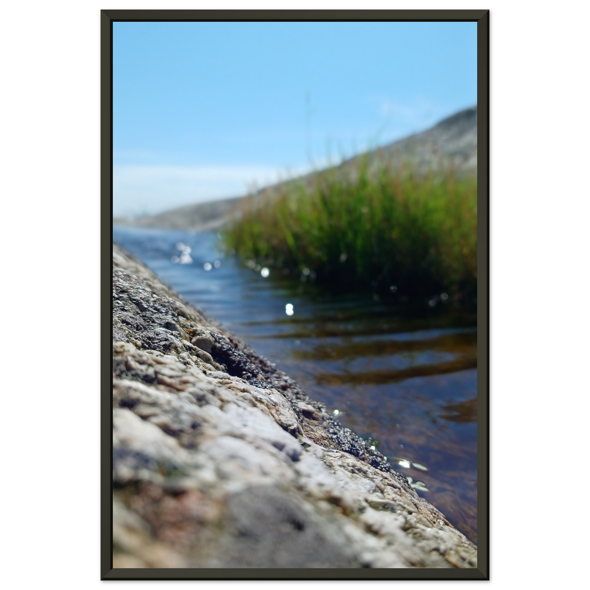 4593c0ba-8a01-4e21-b1ab-6e0e6e44b1ea