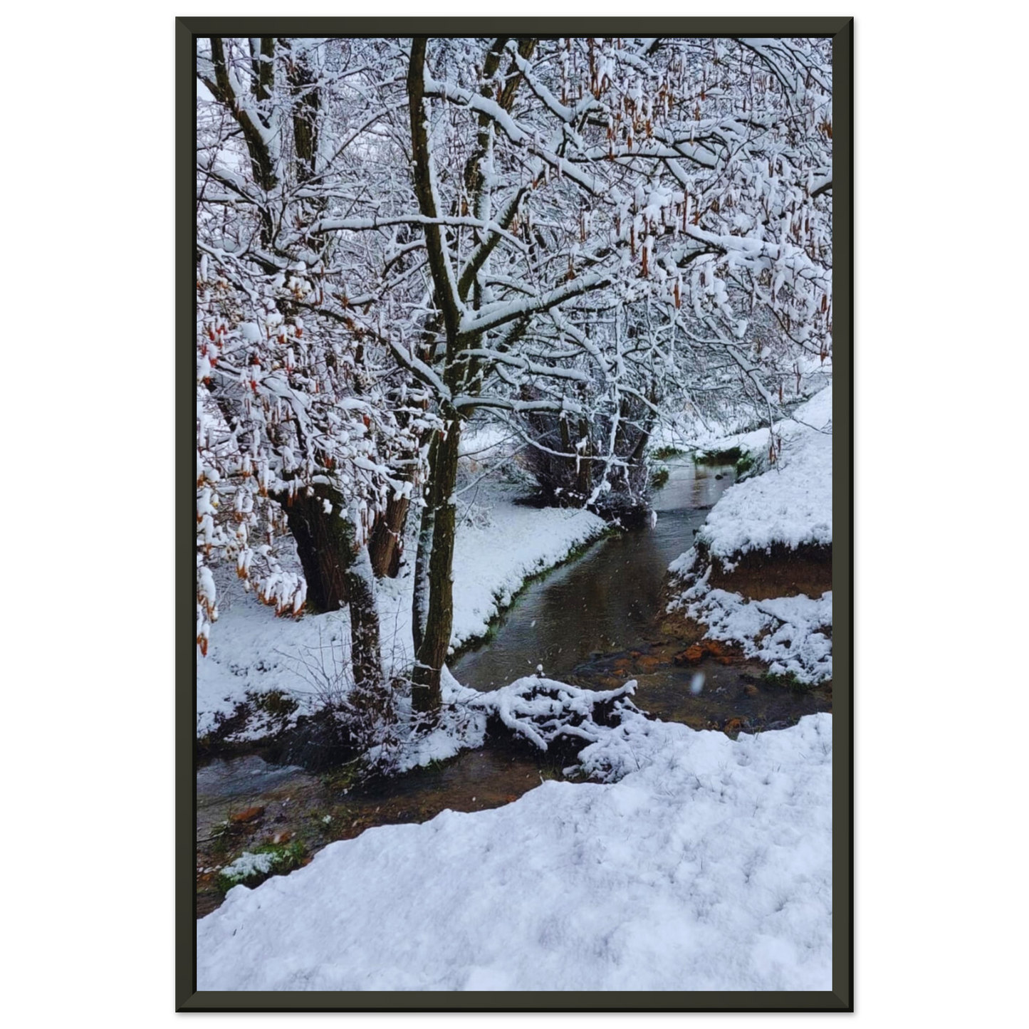 48617882-0670-45c9-ba1e-a72c0c5c20cd