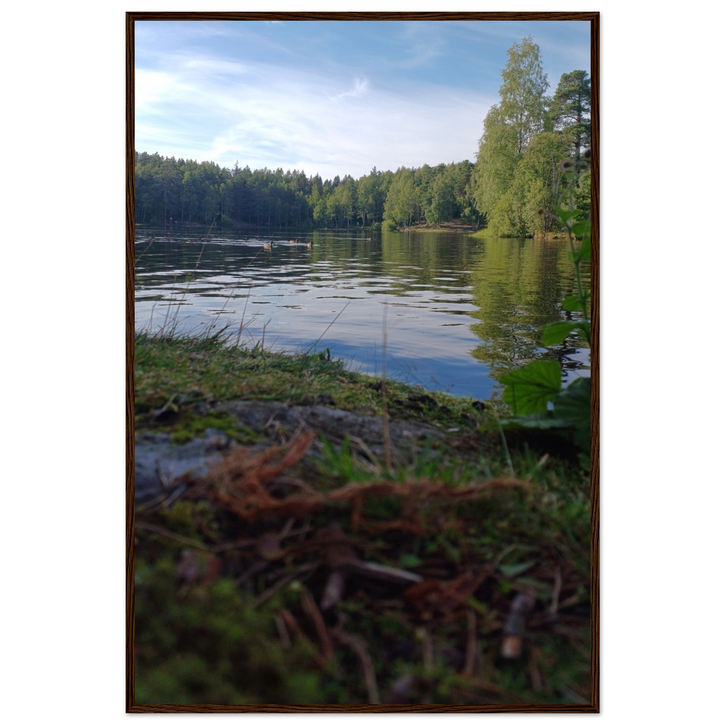 48e8cfcd-9384-42da-a07f-0511eeade9cb