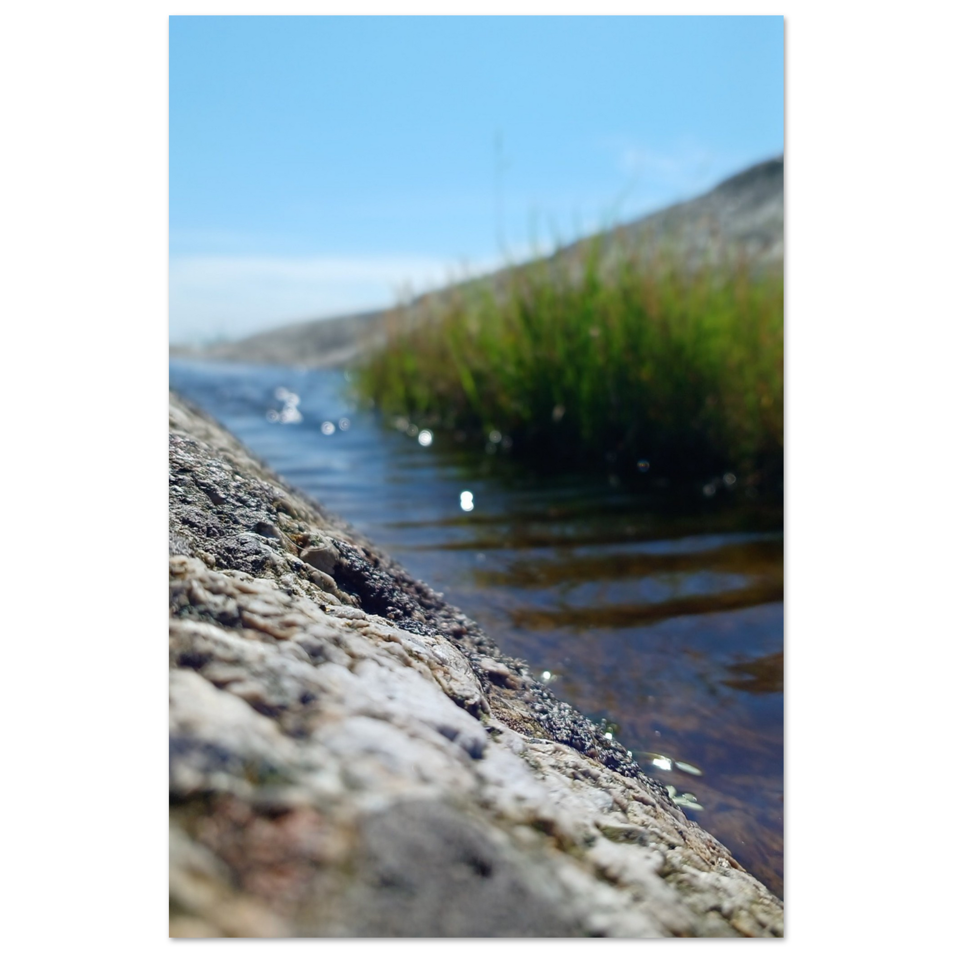 4d02f575-aea0-4994-87de-7589a16b275c