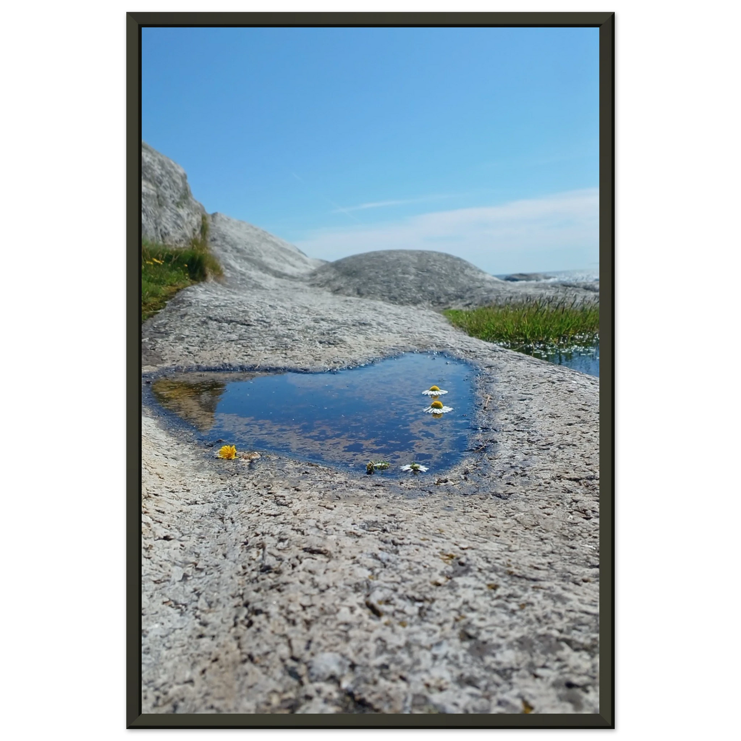 4dcf2885-51d9-4fb1-b1e0-0aa3b05ca6d4