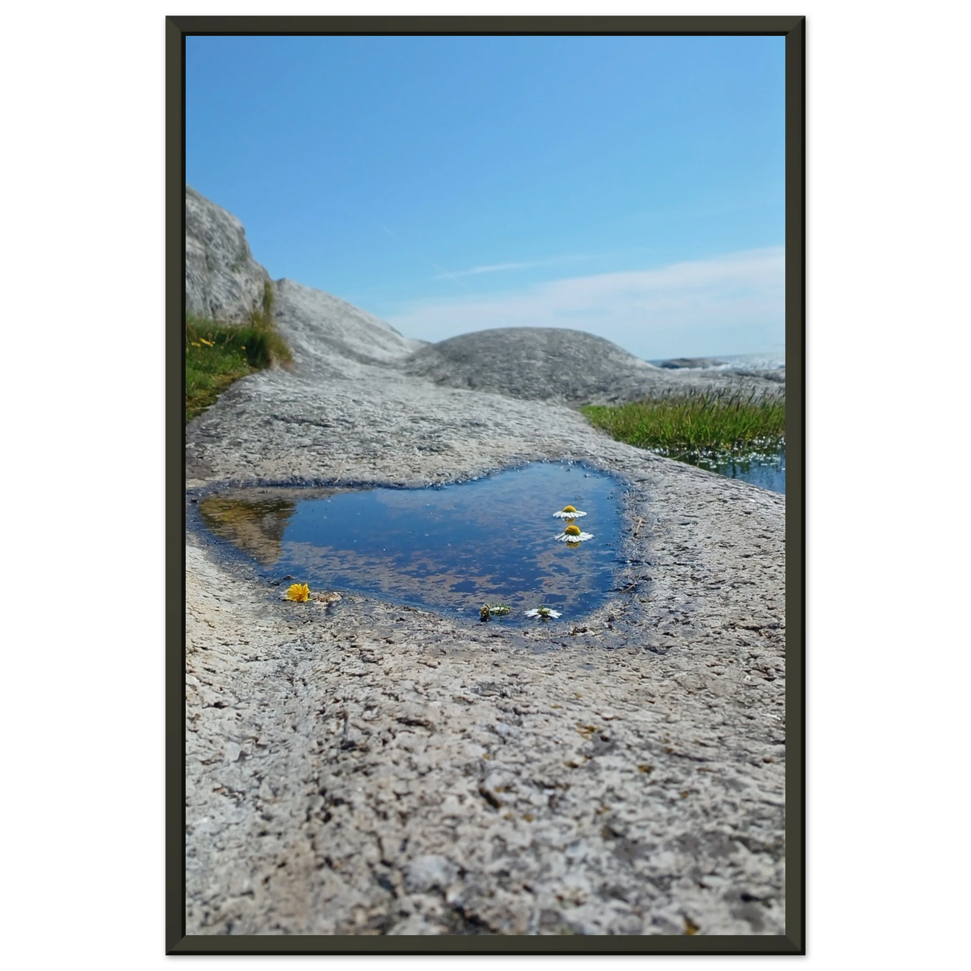 4dcf2885-51d9-4fb1-b1e0-0aa3b05ca6d4