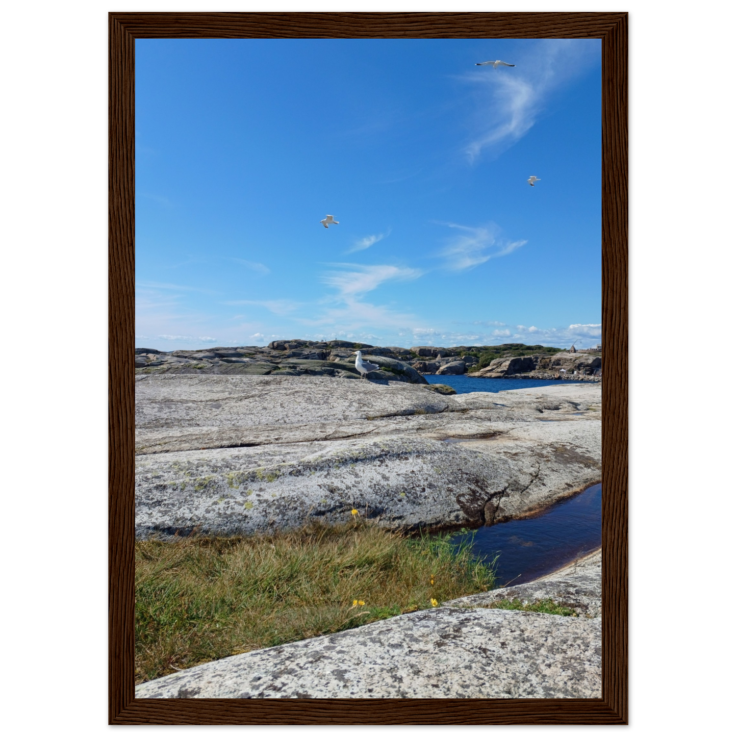 4e7379f3-aec5-47cc-94ee-57b9ba47428f