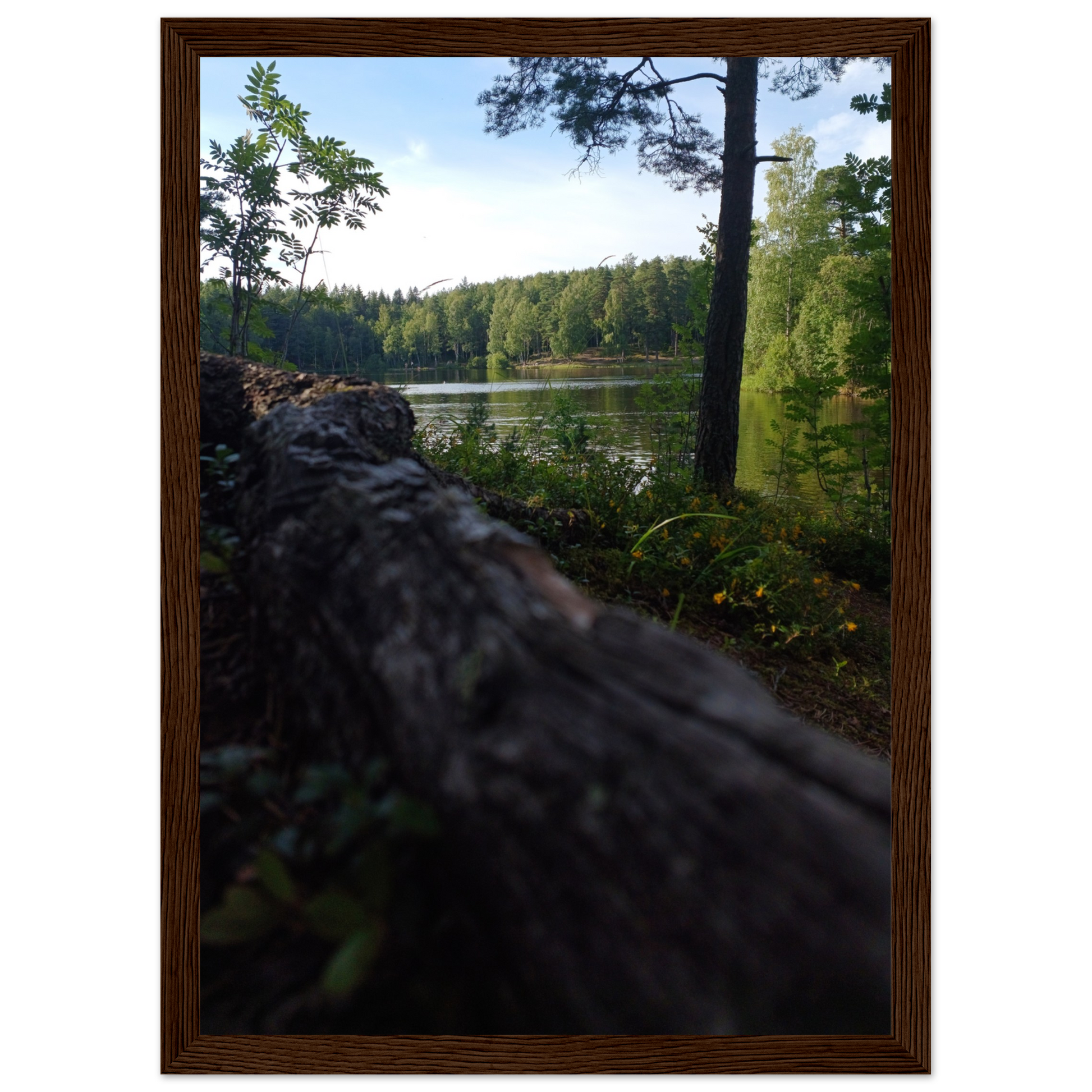 4f3a2b7a-0df7-4588-9b4e-40189213a8e5