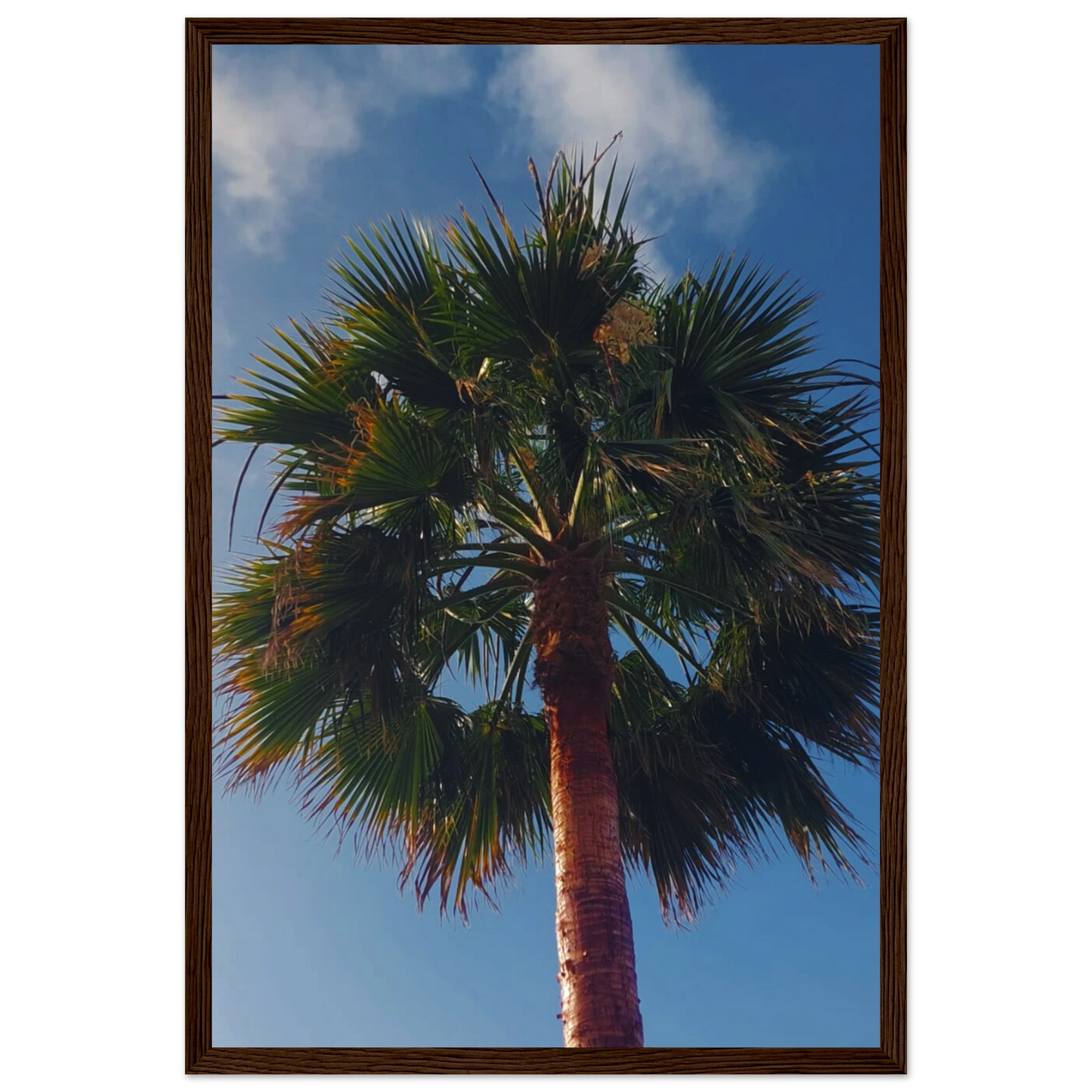 501b67c7-462b-418e-8875-4e218bf1d28d