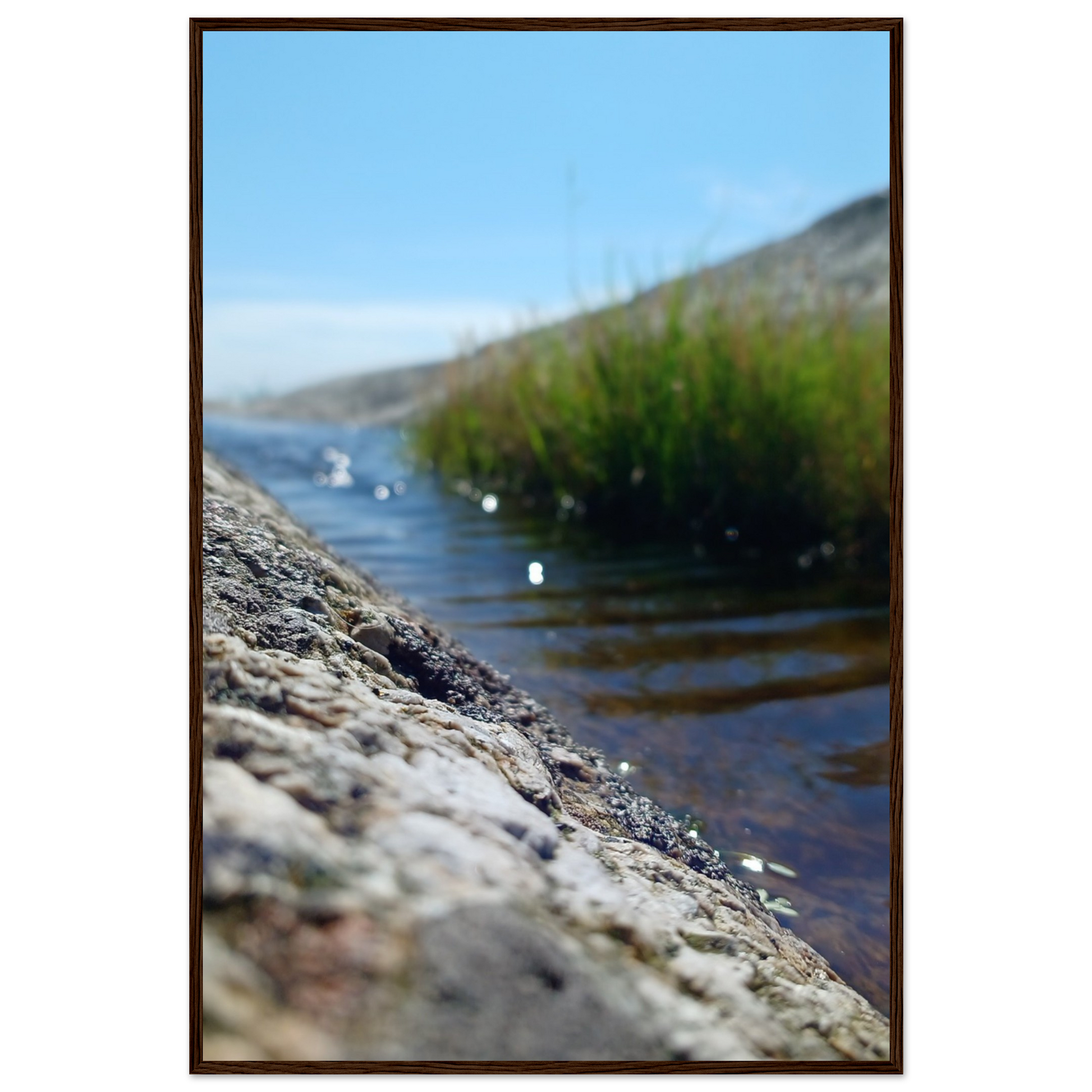 50d08c6b-1f2a-4539-a0d3-fc29745b4270