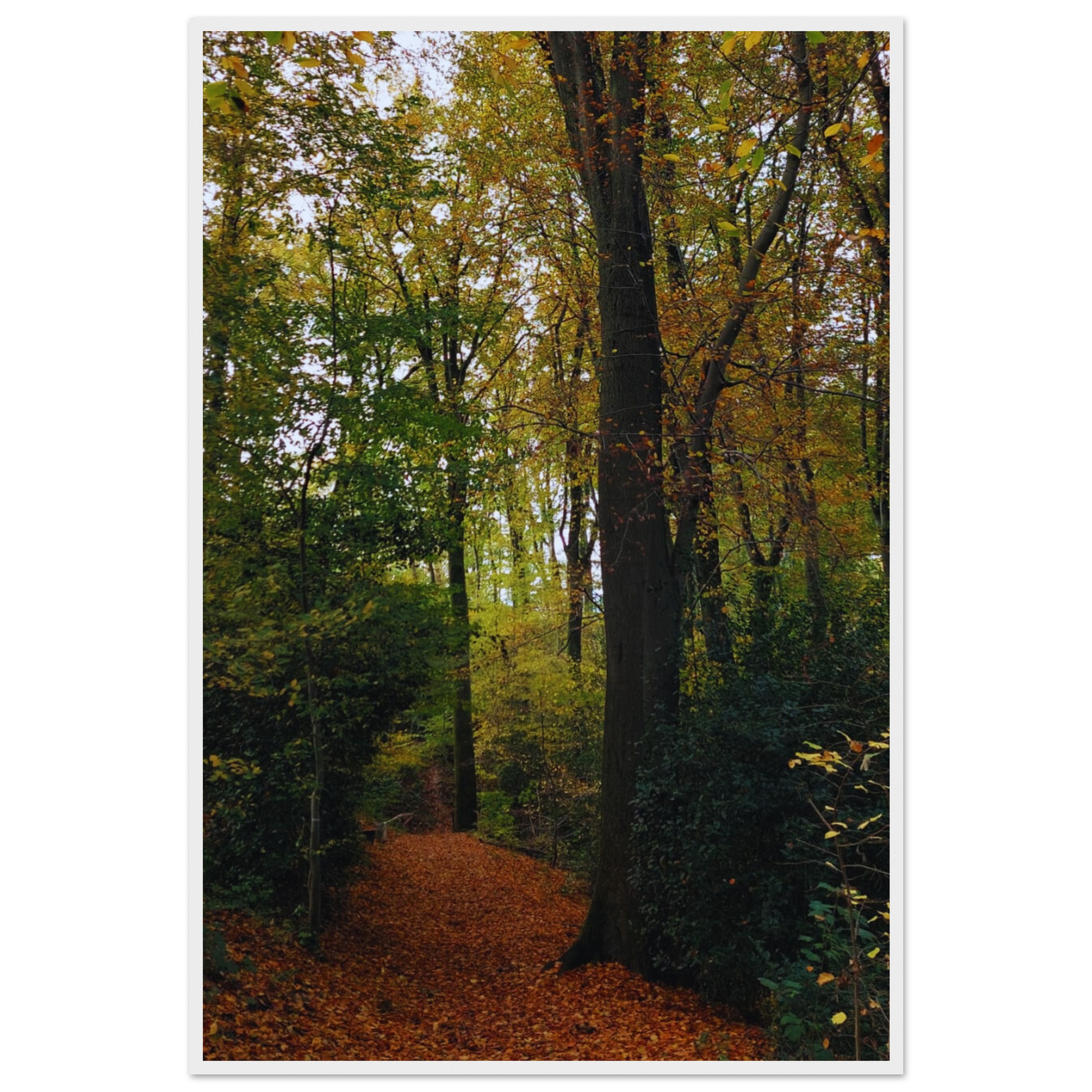 51c09ba1-a691-4f89-960e-f822014a95a3