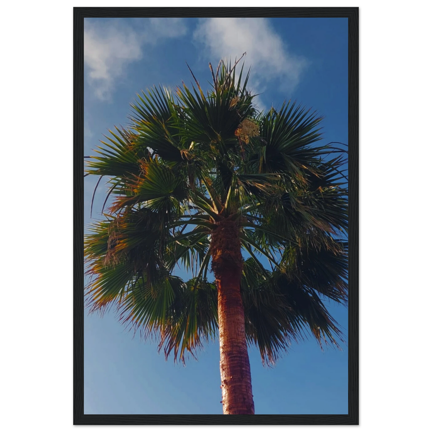 52f7fd5d-4f7a-4c3f-af70-dc97315a3af7