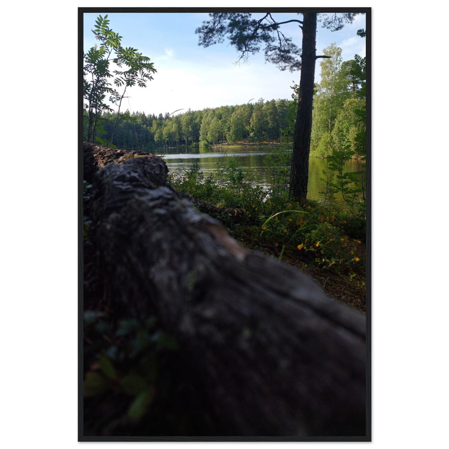 57a18531-e20e-4000-be89-69e2c02838a3