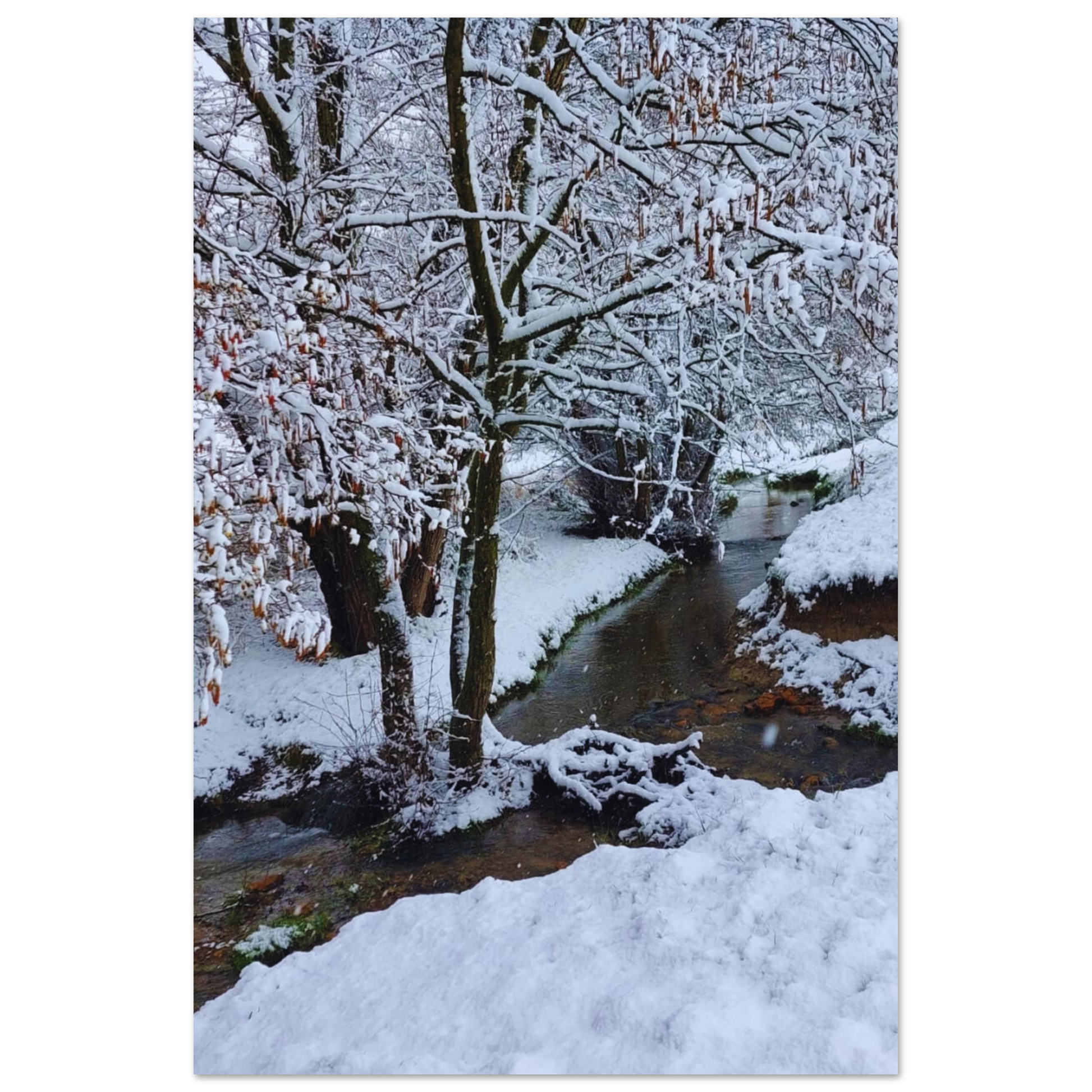 5b0aef36-2e80-459b-87d0-8137eb570dc7