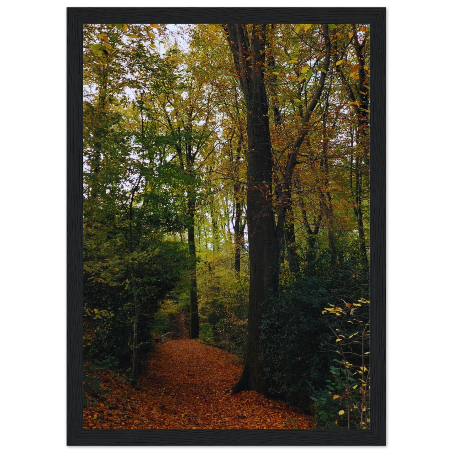 5f6480c9-5c5d-4ec4-a6ec-c05a831a7db8