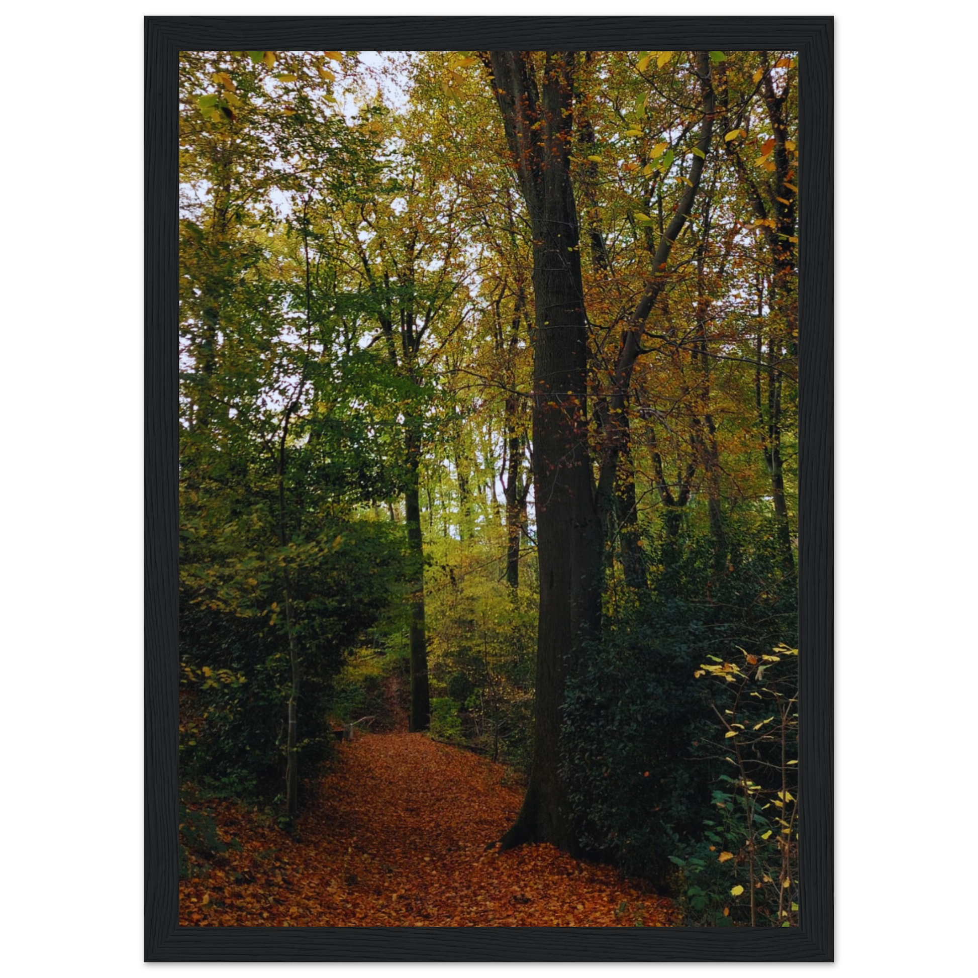 5f6480c9-5c5d-4ec4-a6ec-c05a831a7db8